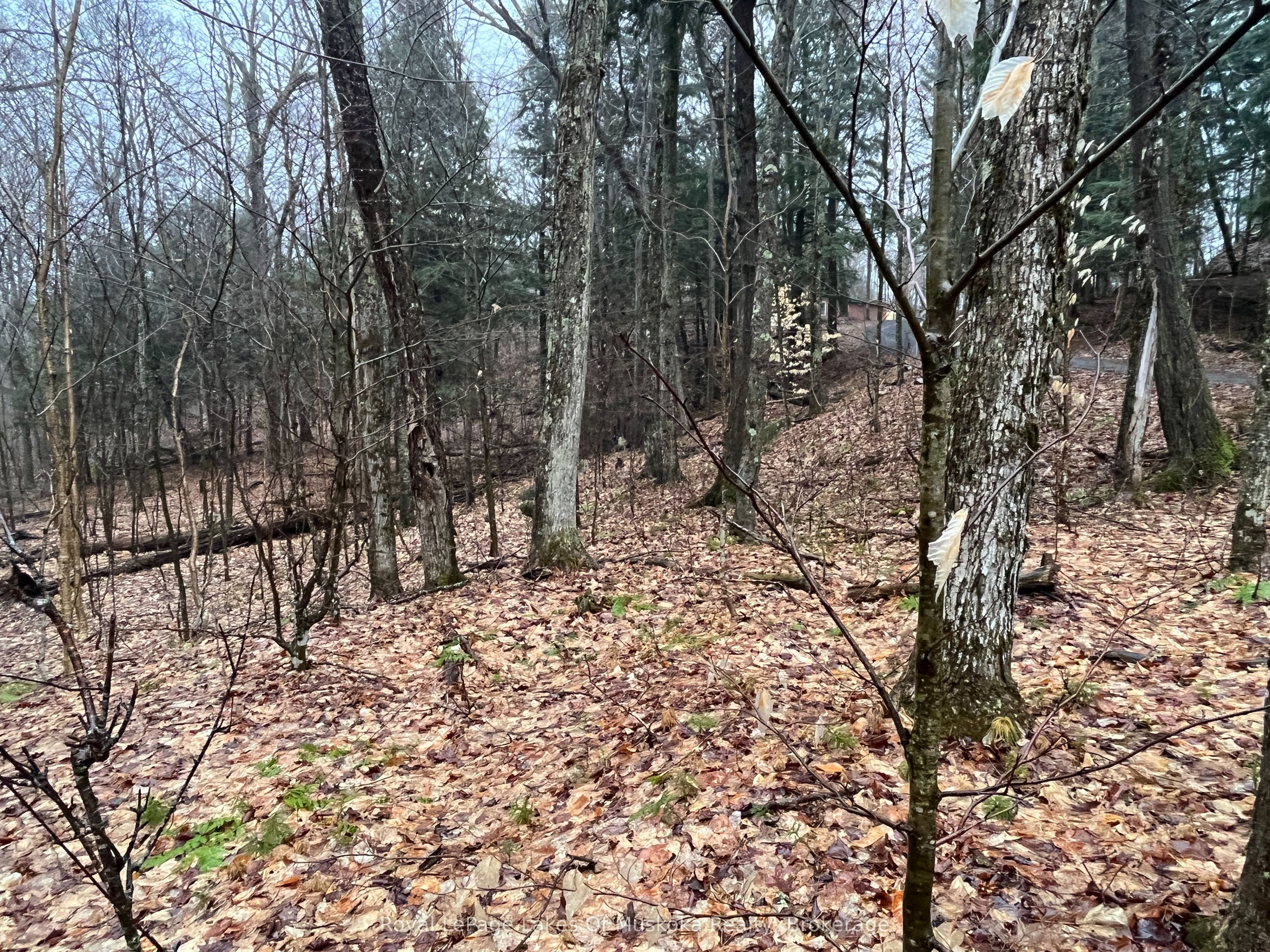 Lot 90 Lookout Point Road Property Photo 15
