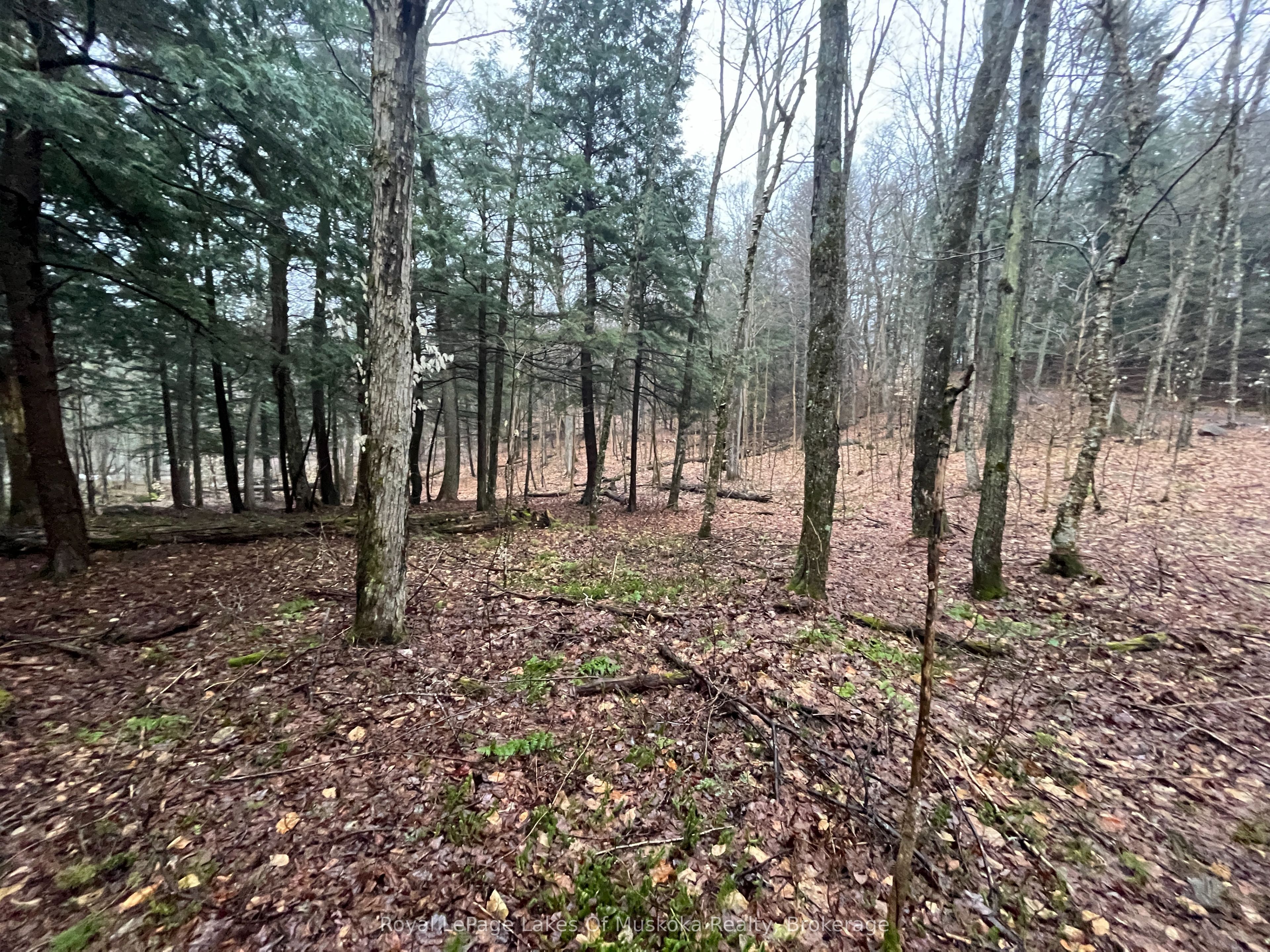 Lot 90 Lookout Point Road Property Photo 16