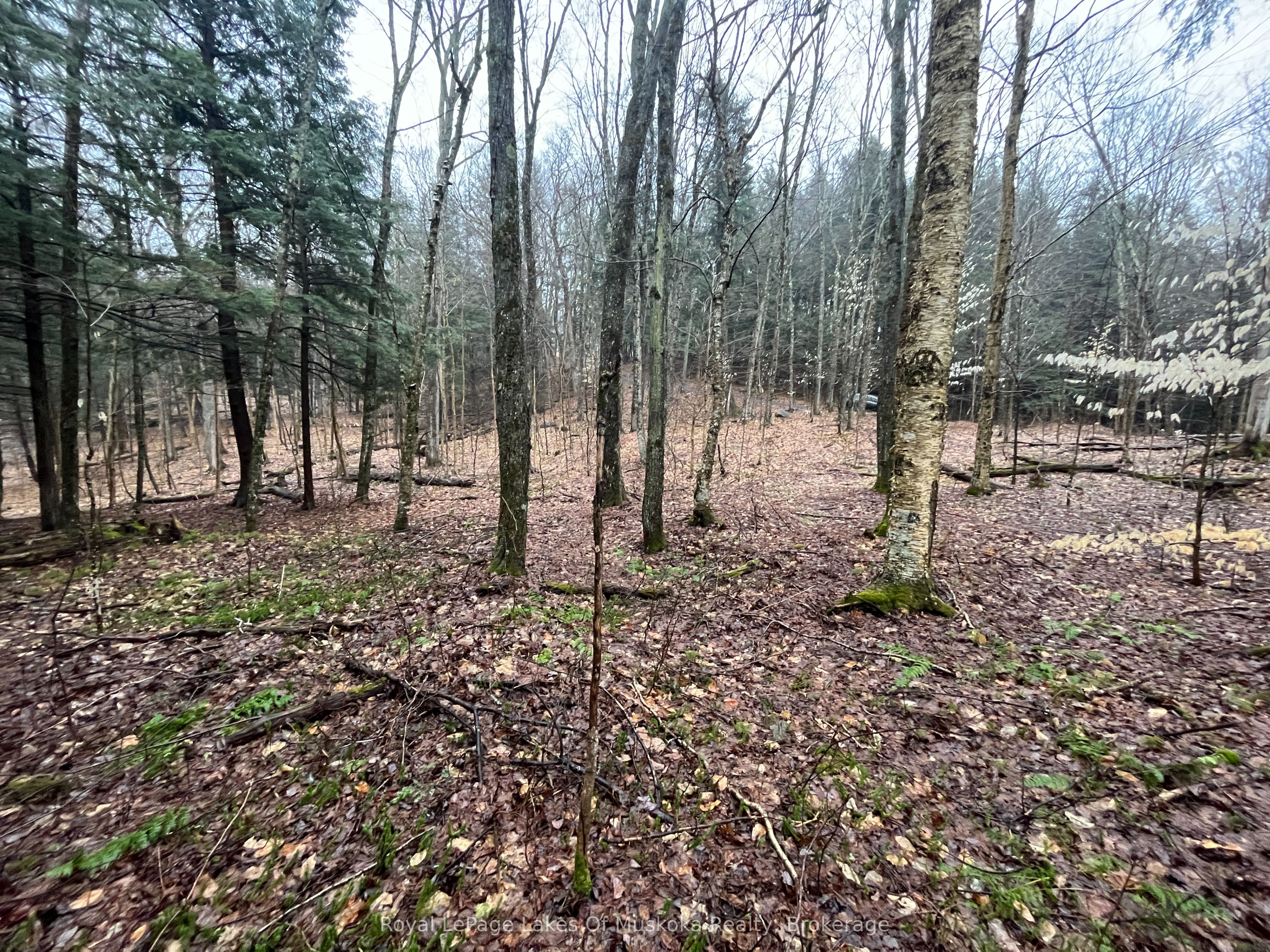 Lot 90 Lookout Point Road Property Photo 17