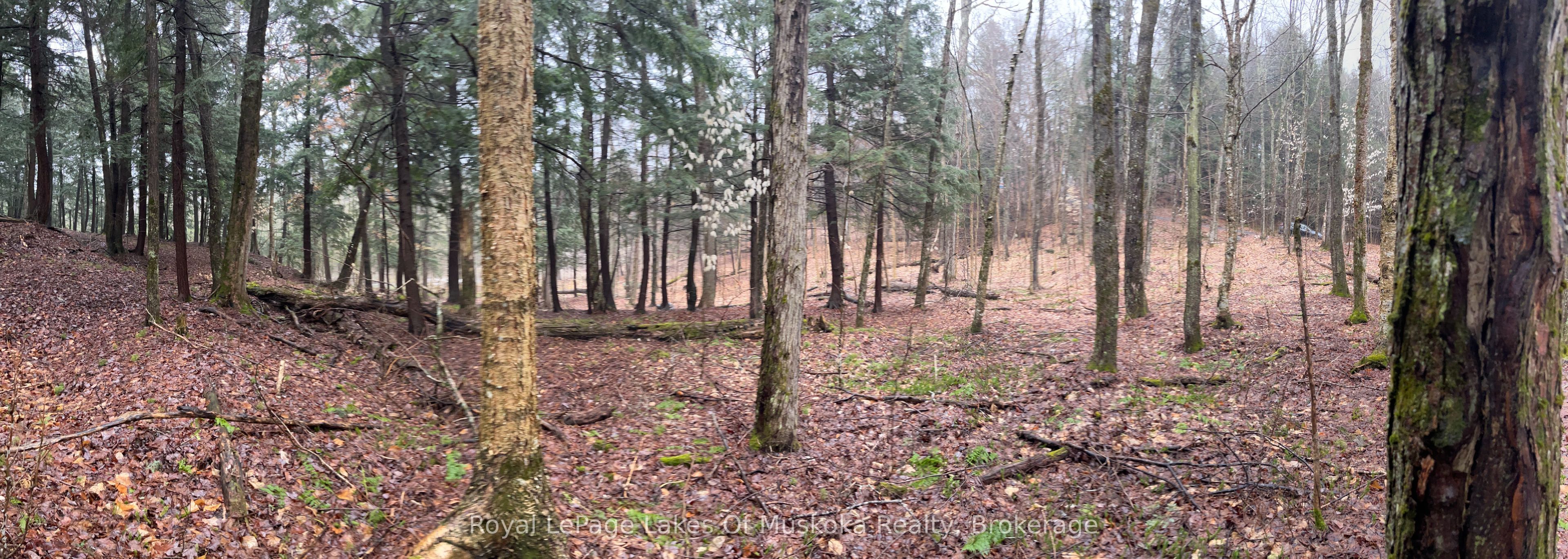 Lot 90 Lookout Point Road Property Photo 18