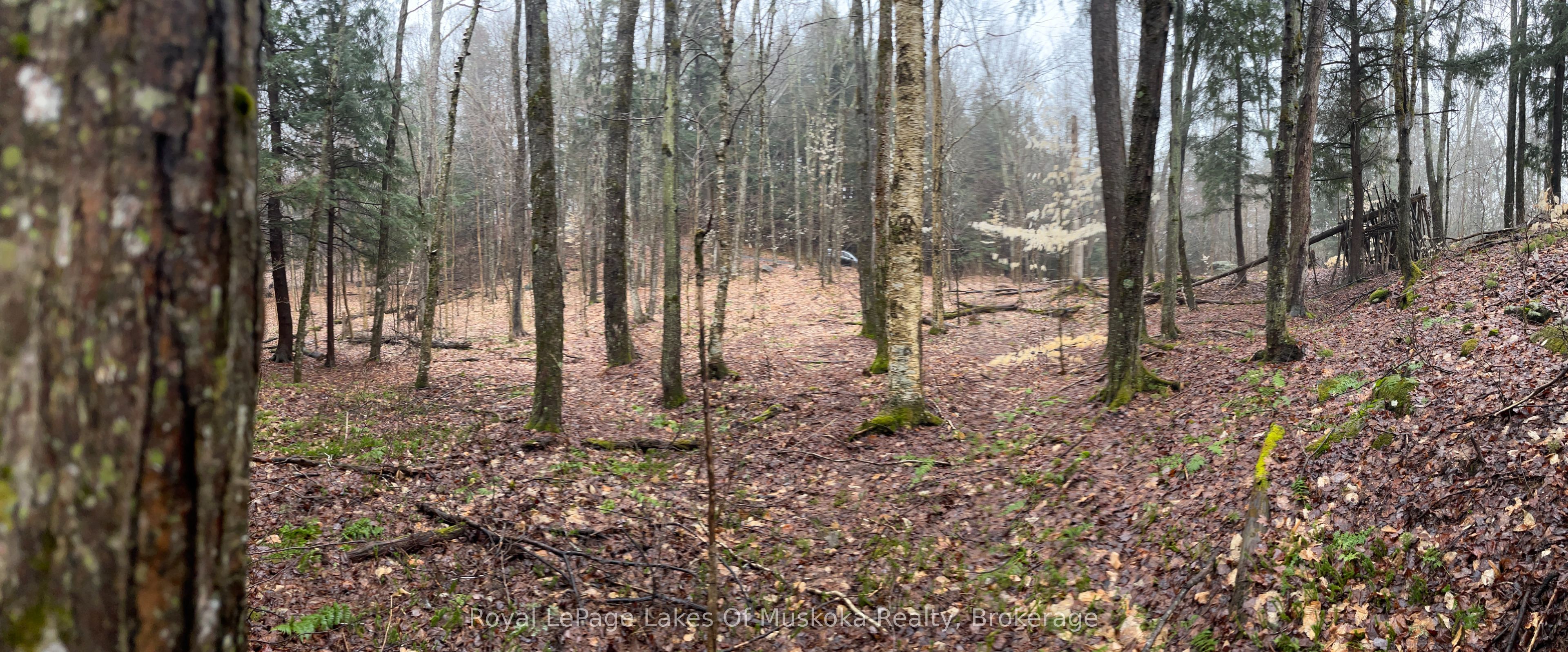 Lot 90 Lookout Point Road Property Photo 19