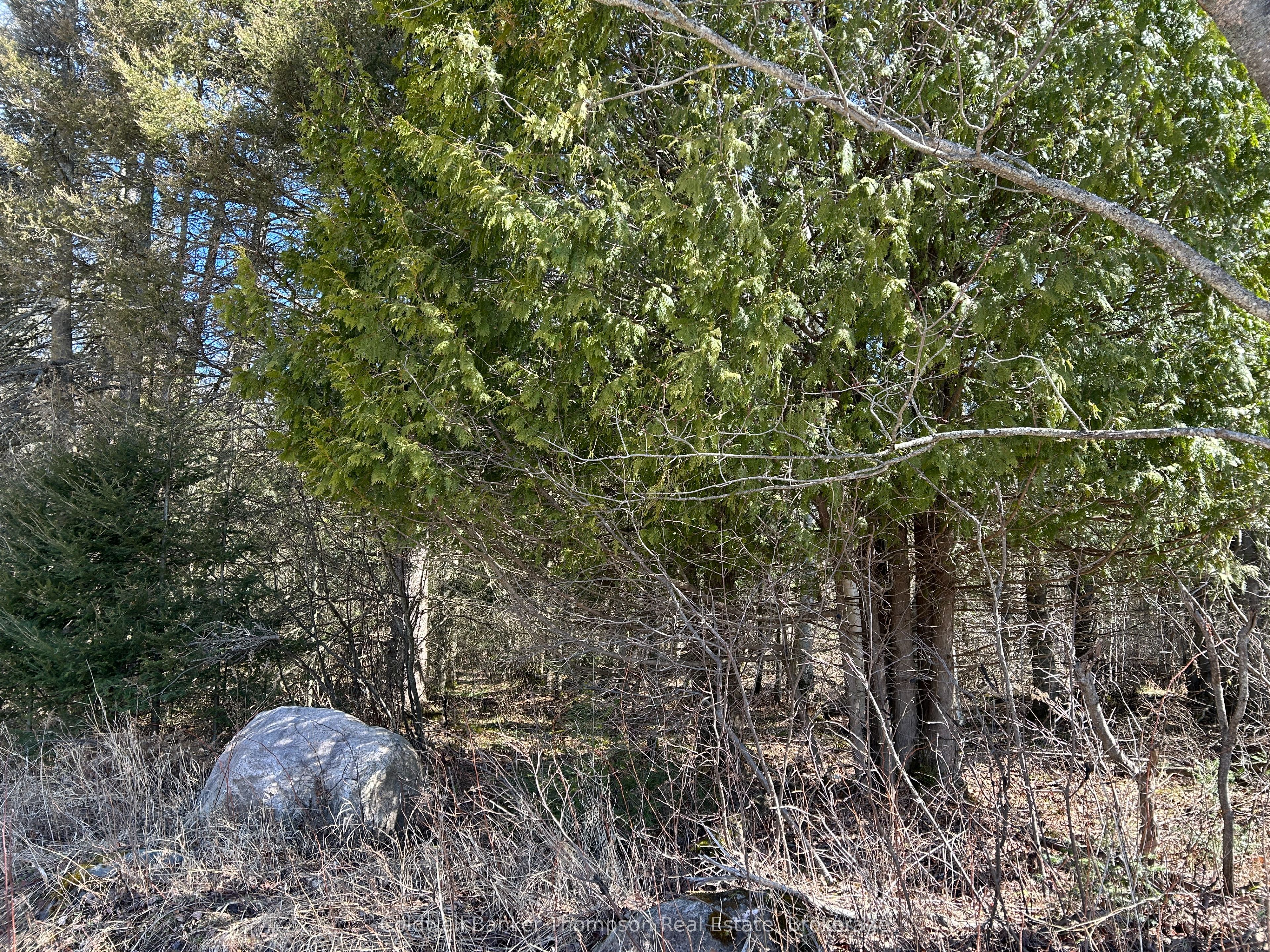 Lot 21 Part 1 Golf Course Road Property Photo