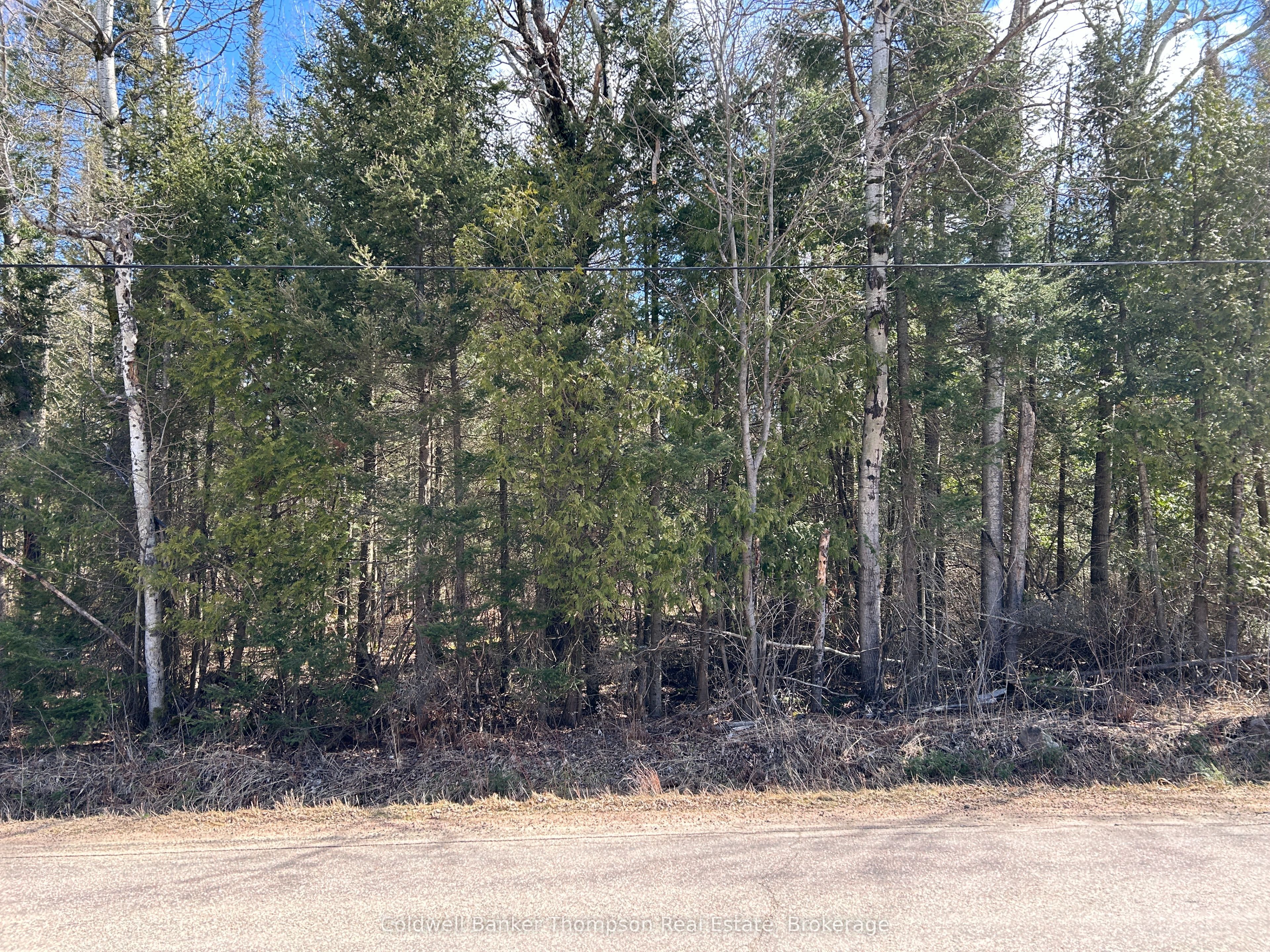 Lot 21 Part 1 Golf Course Road Property Photo 3