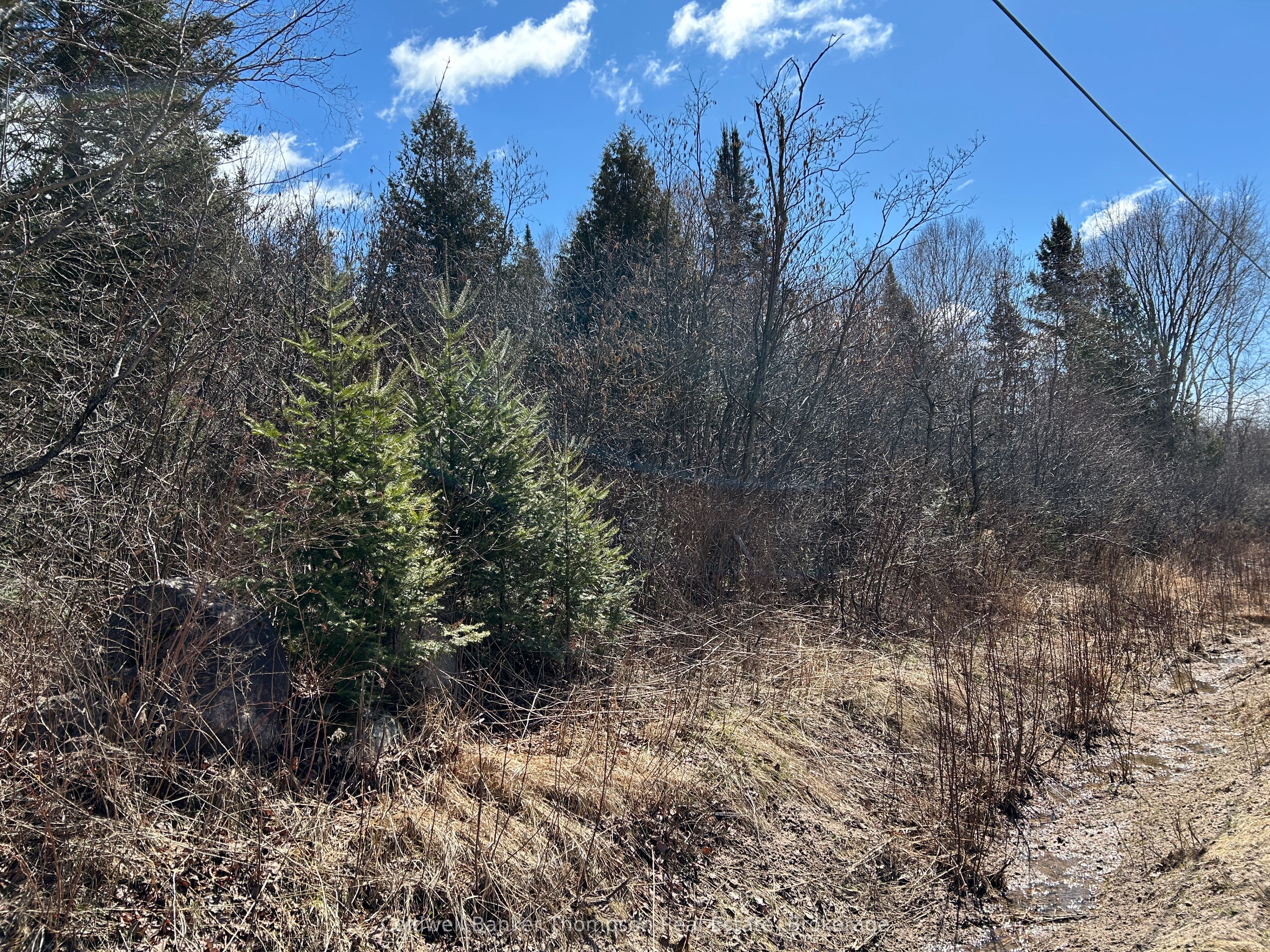 Lot 21 Part 1 Golf Course Road Property Photo 4