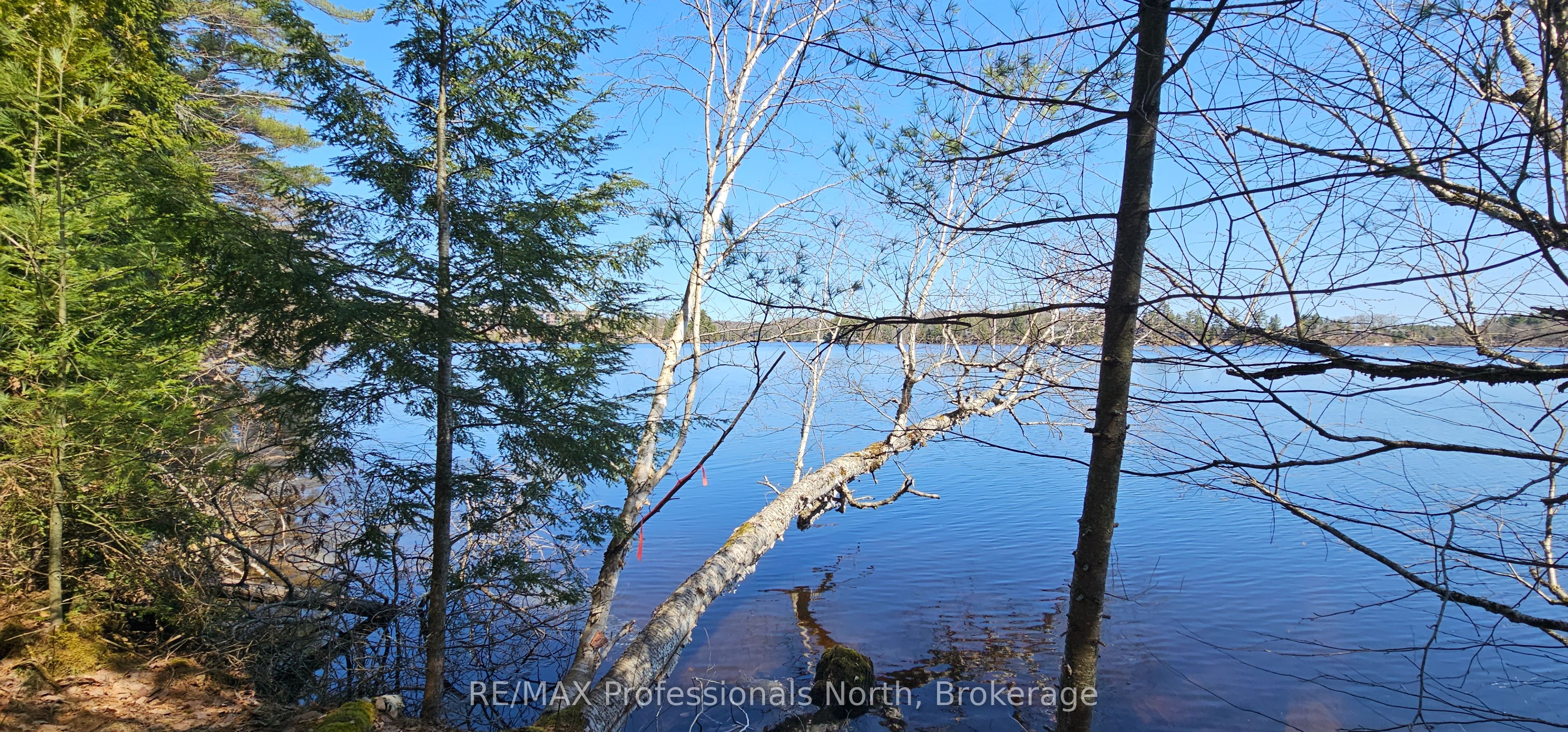 416 Swallowdale Road Property Photo 8