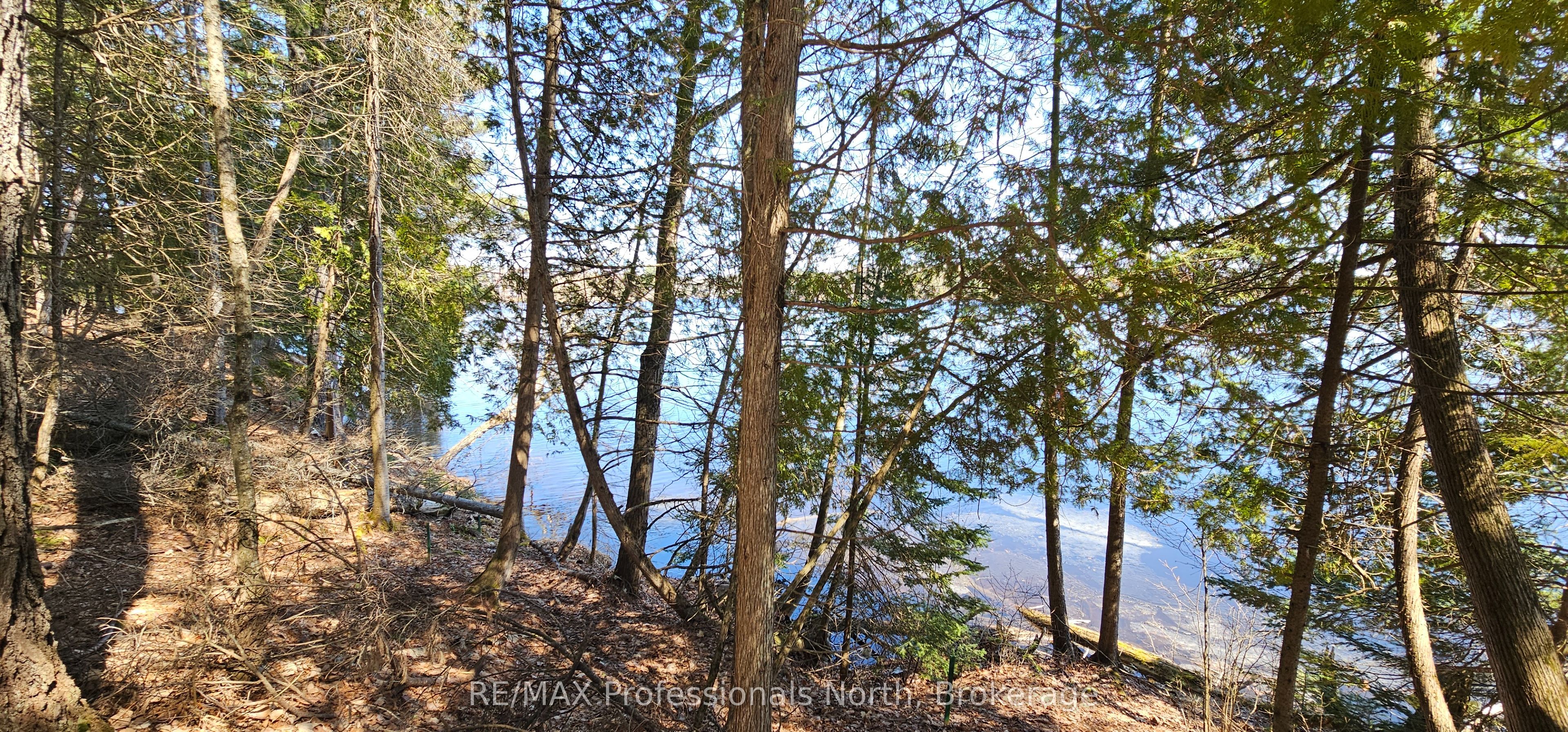 416 Swallowdale Road Property Photo 9