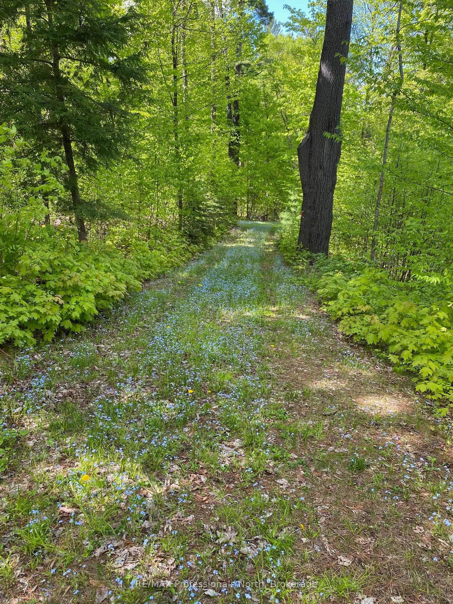 416 Swallowdale Road Property Photo 11