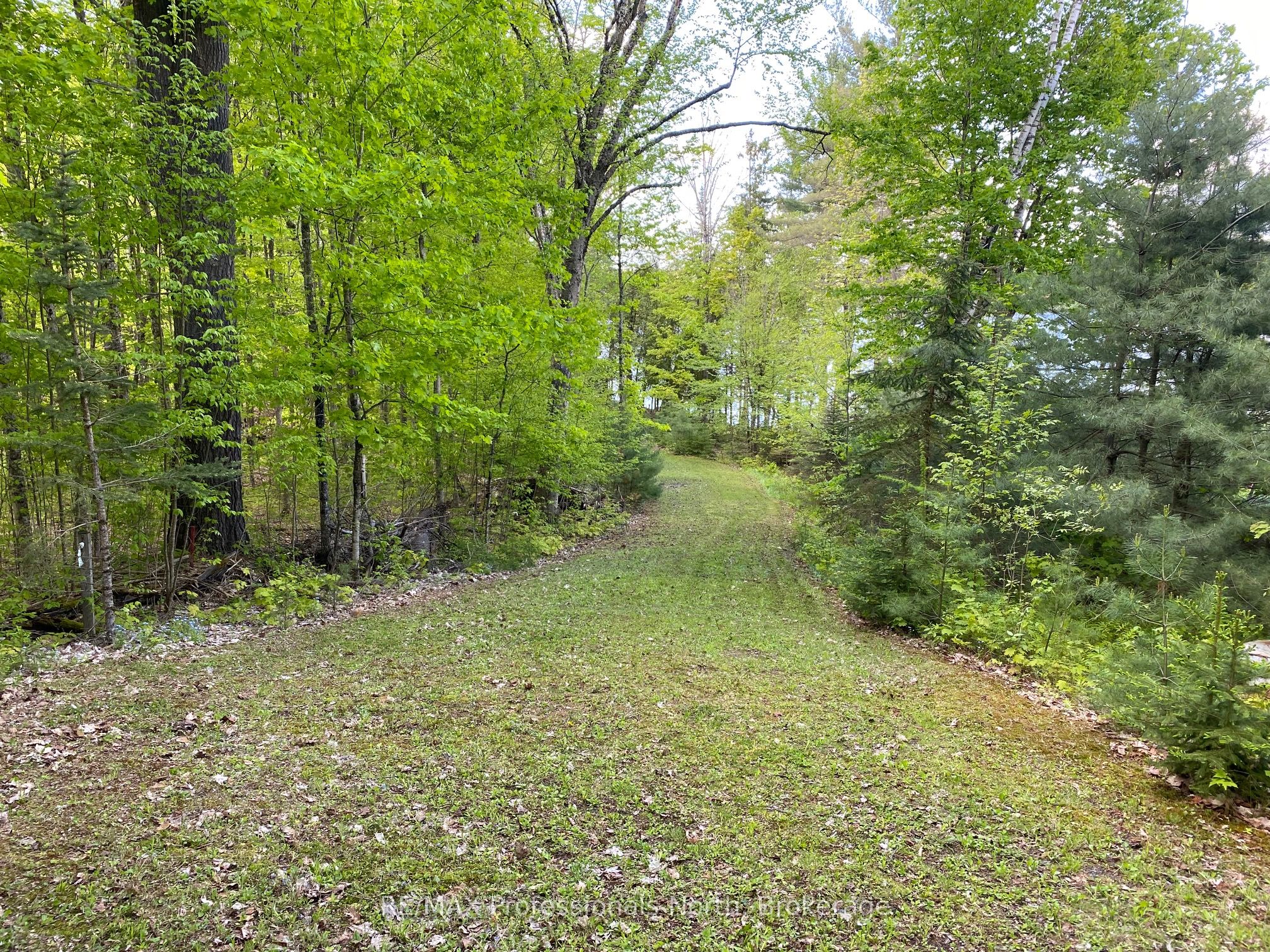 416 Swallowdale Road Property Photo 16