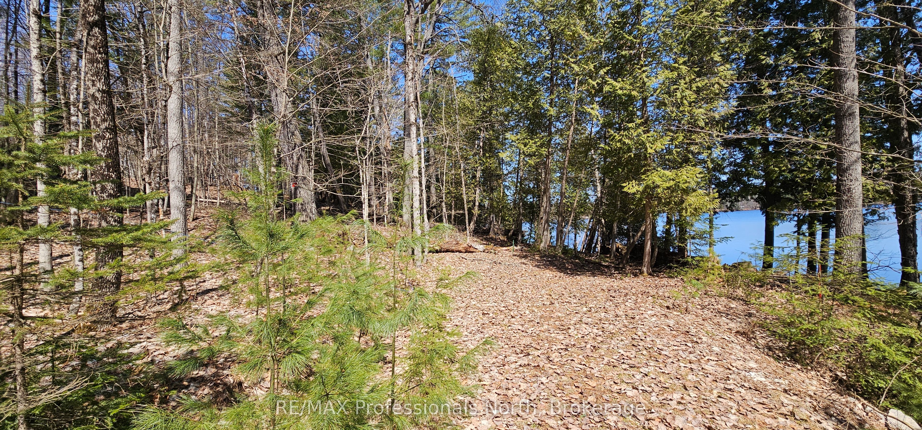 416 Swallowdale Road Property Photo 20
