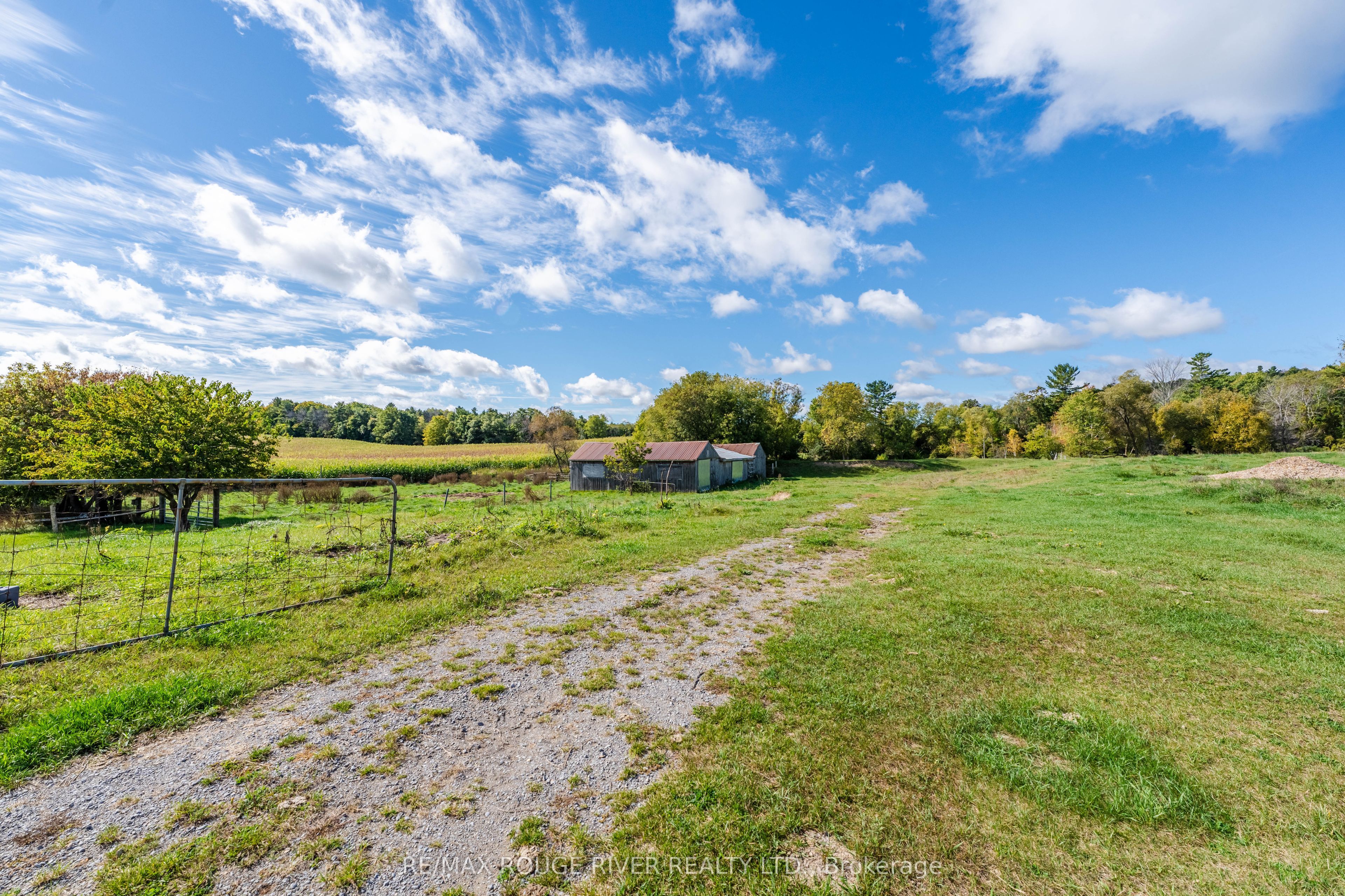 390 Jakobi Road Property Photo 18