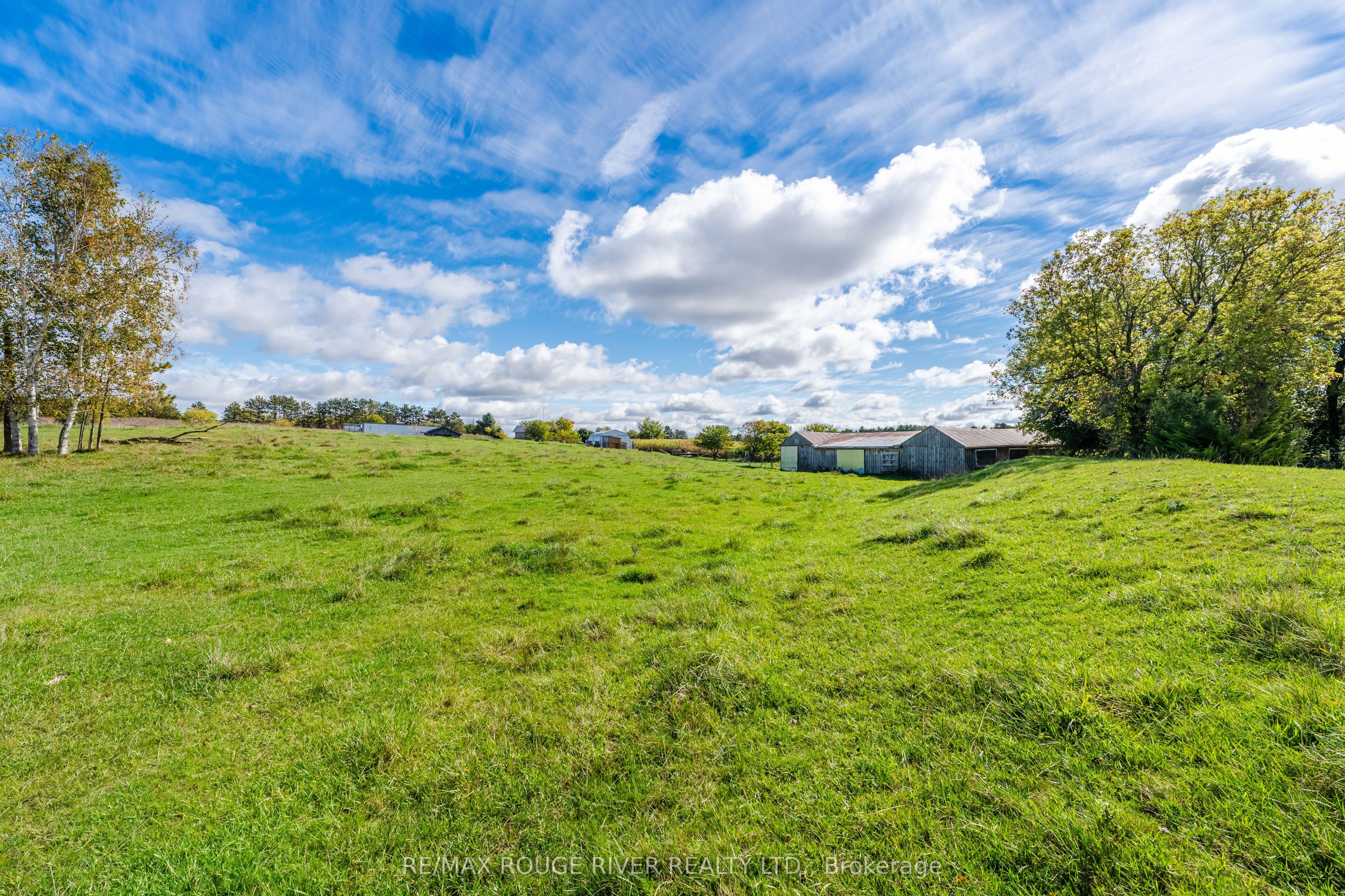 390 Jakobi Road Property Photo 22