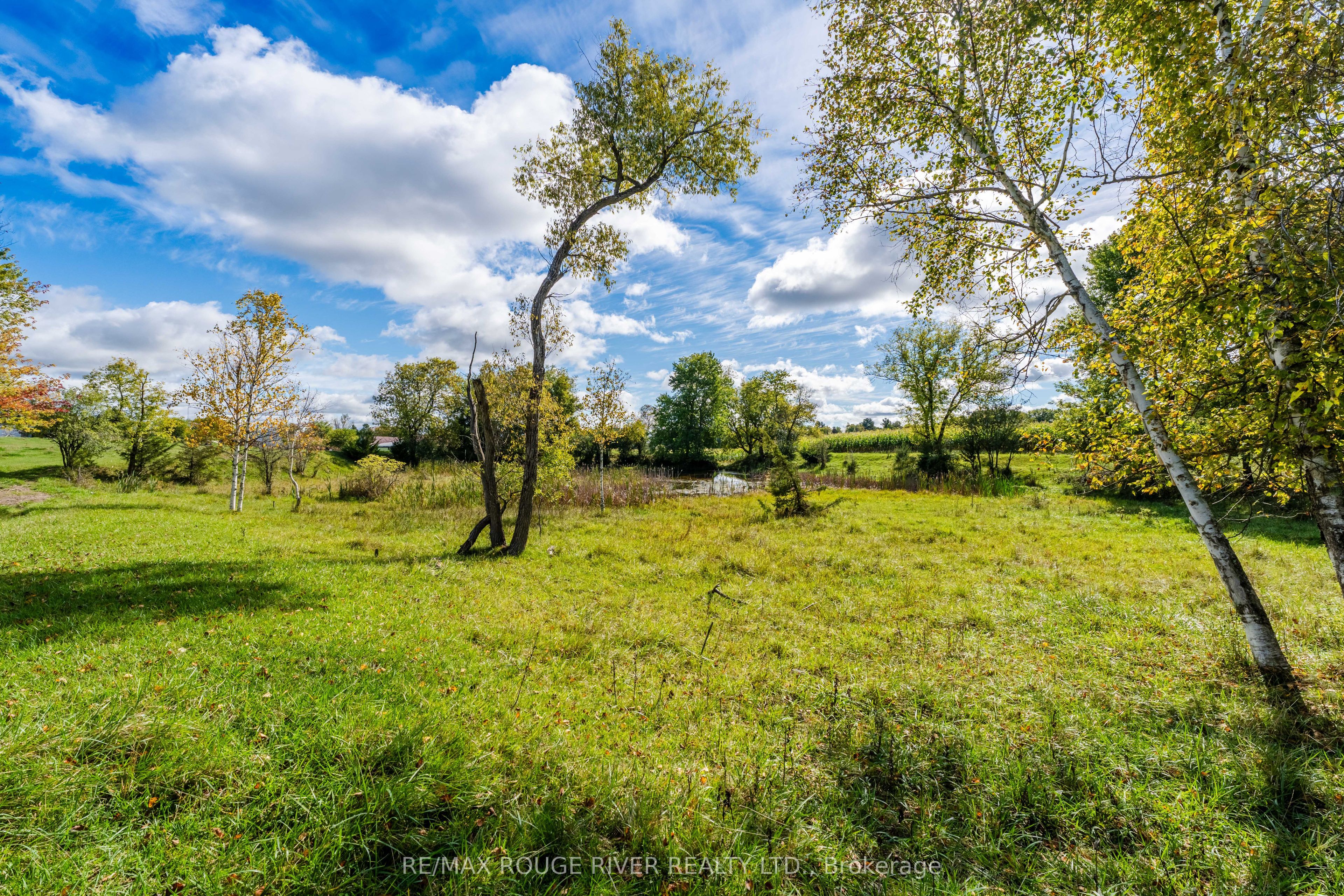 390 Jakobi Road Property Photo 33