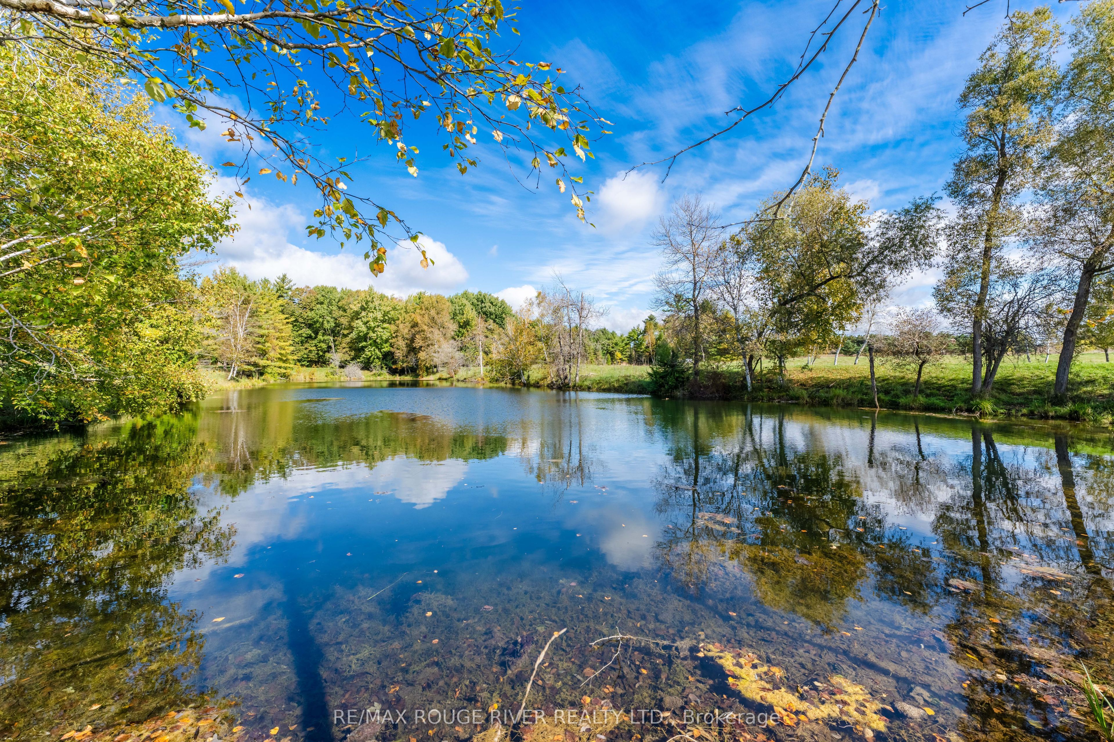 390 Jakobi Road Property Photo 36