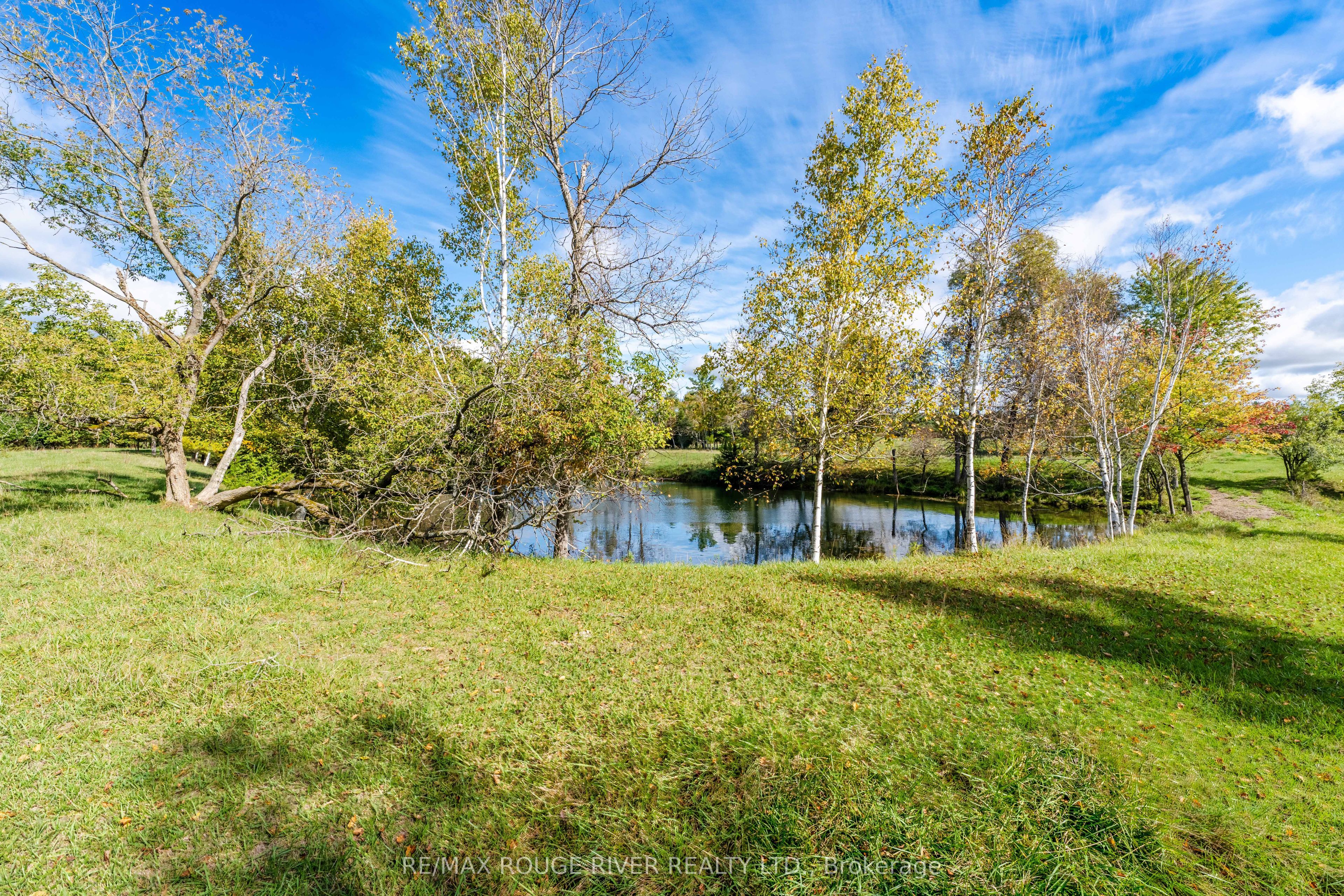 390 Jakobi Road Property Photo 37