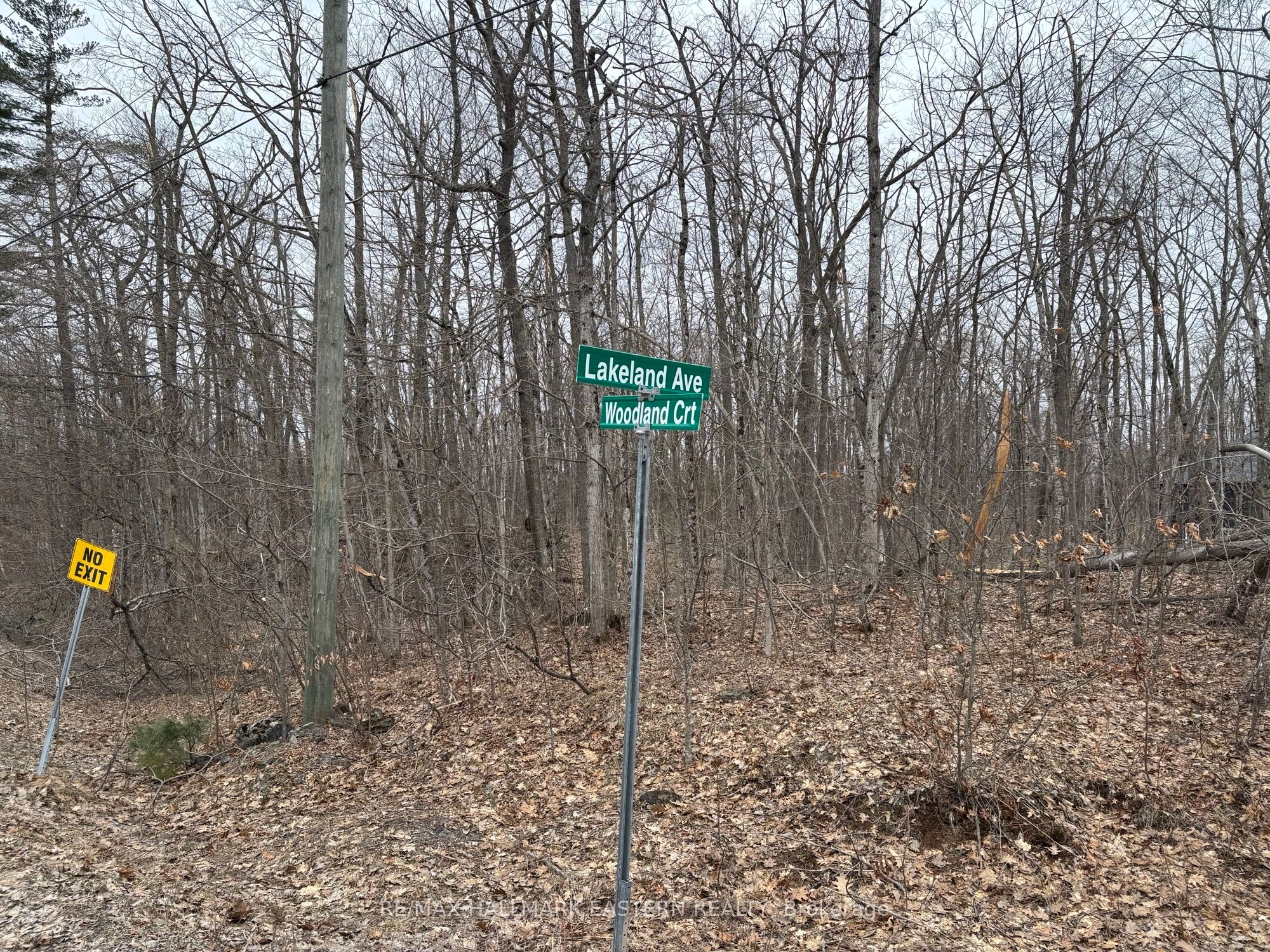 96 Woodland Court Property Photo