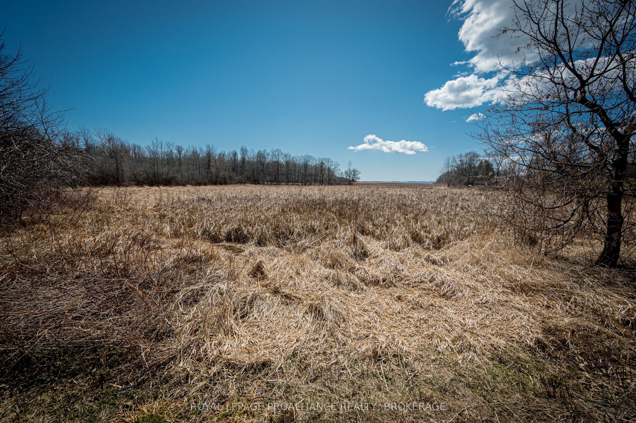 Lot 3 Baseline Road Property Photo 5