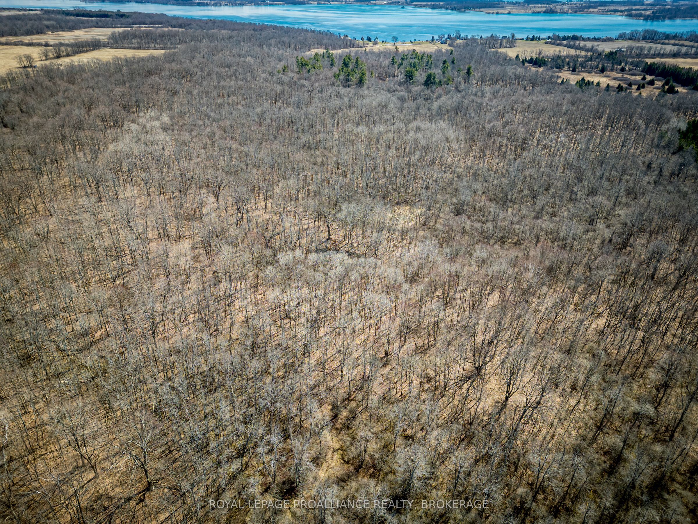 Lot 3 Baseline Road Property Photo 6
