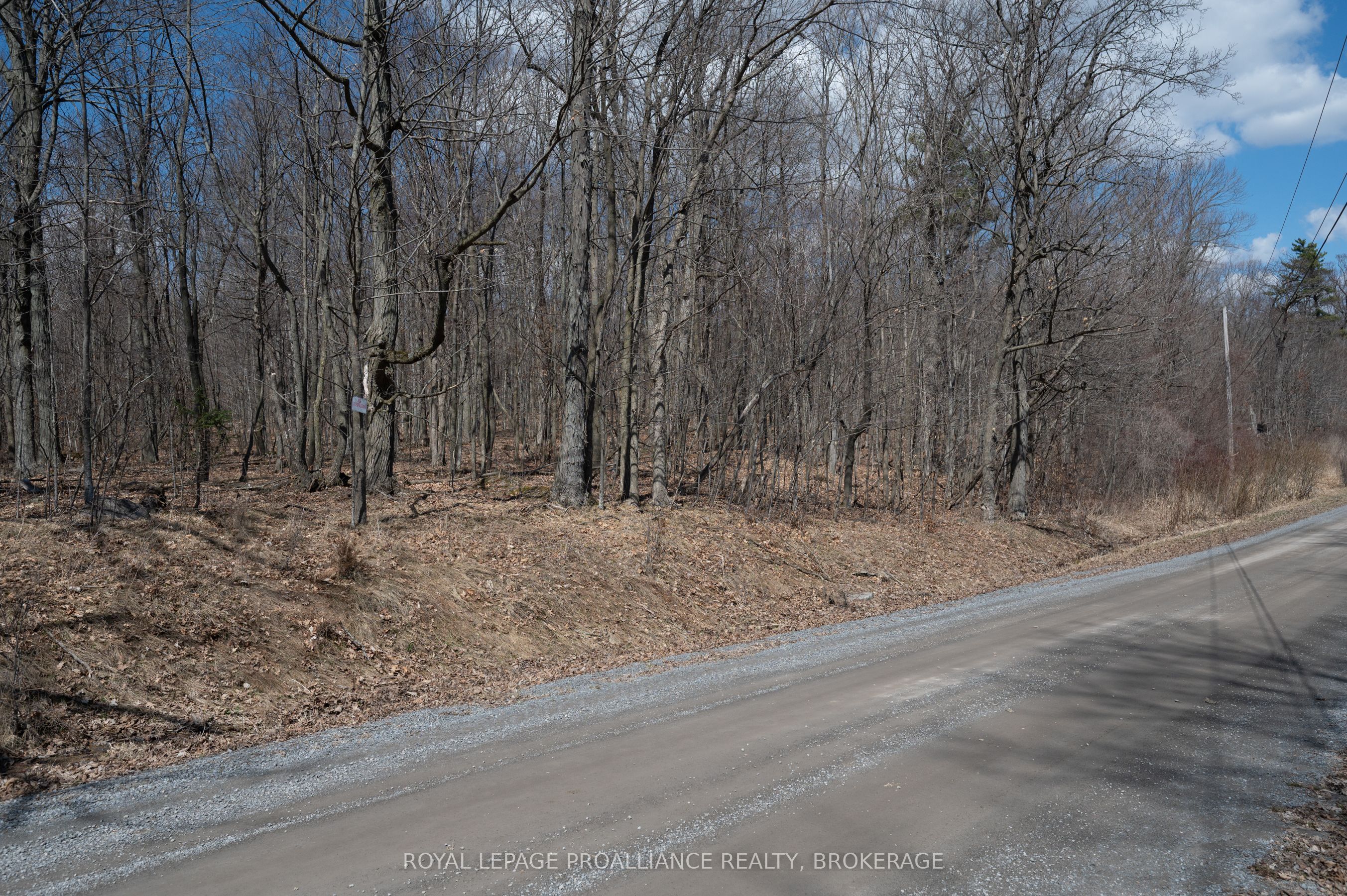 Lot 3 Baseline Road Property Photo 13
