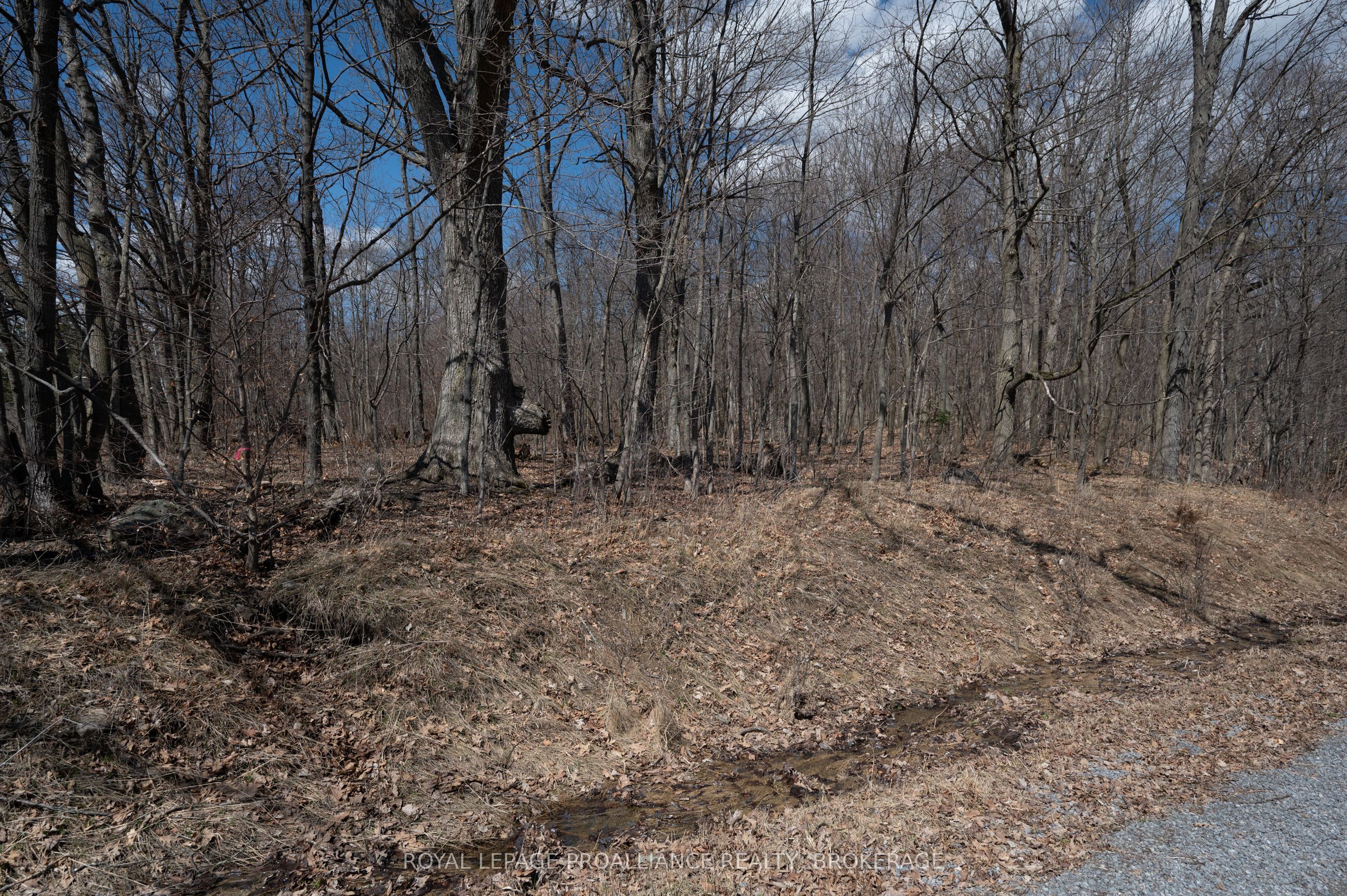 Lot 3 Baseline Road Property Photo 14