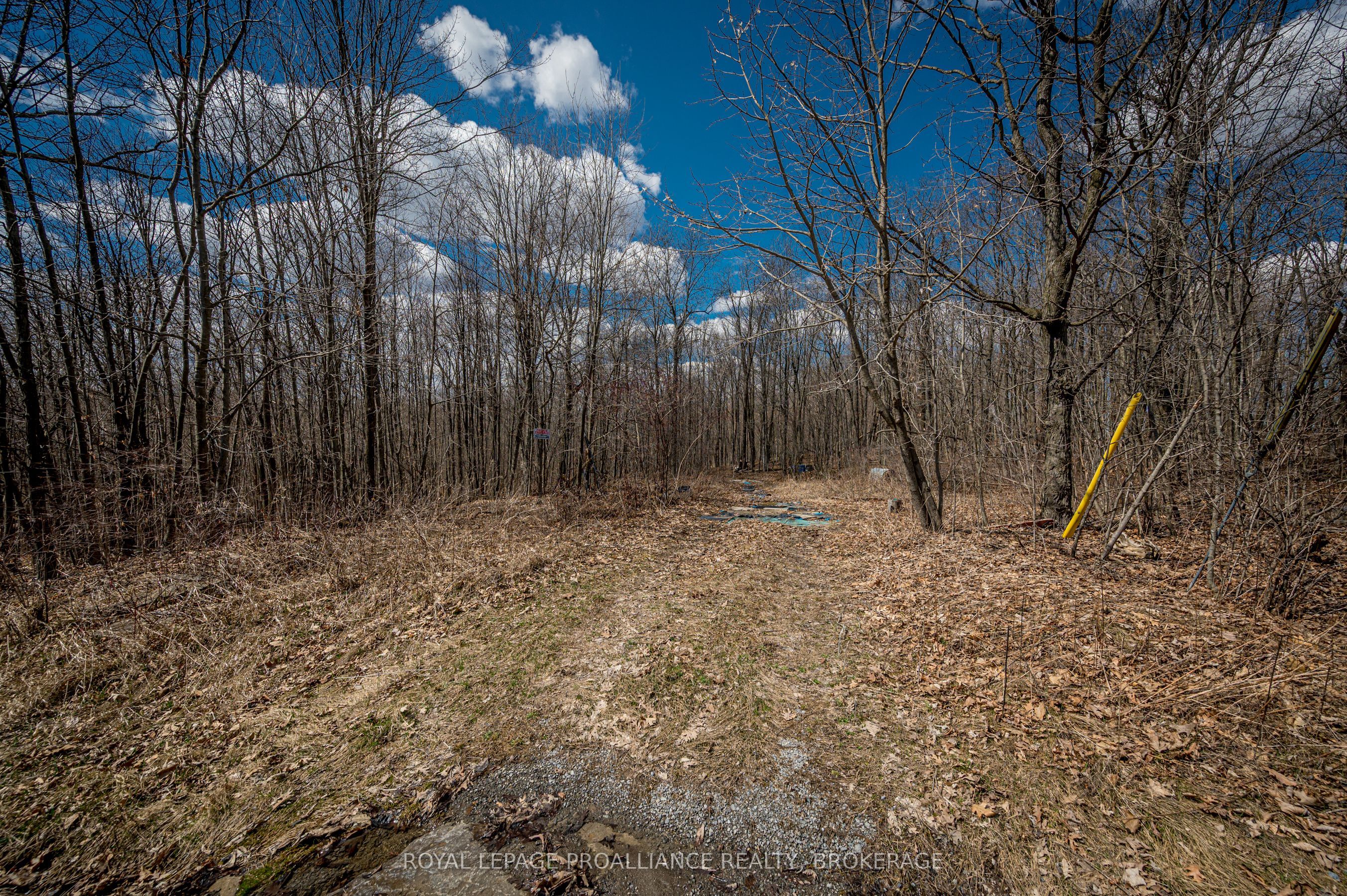 Lot 3 Baseline Road Property Photo 16