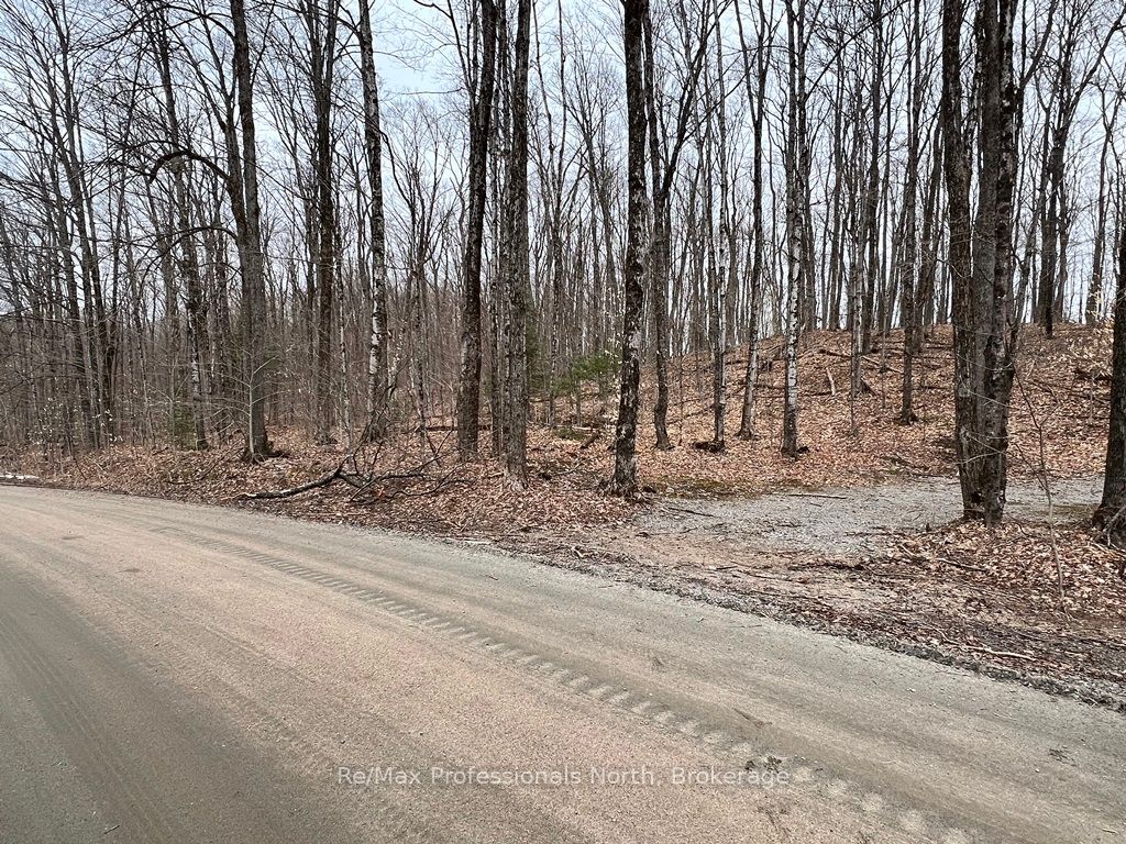 0 Salerno Lake Road Property Photo