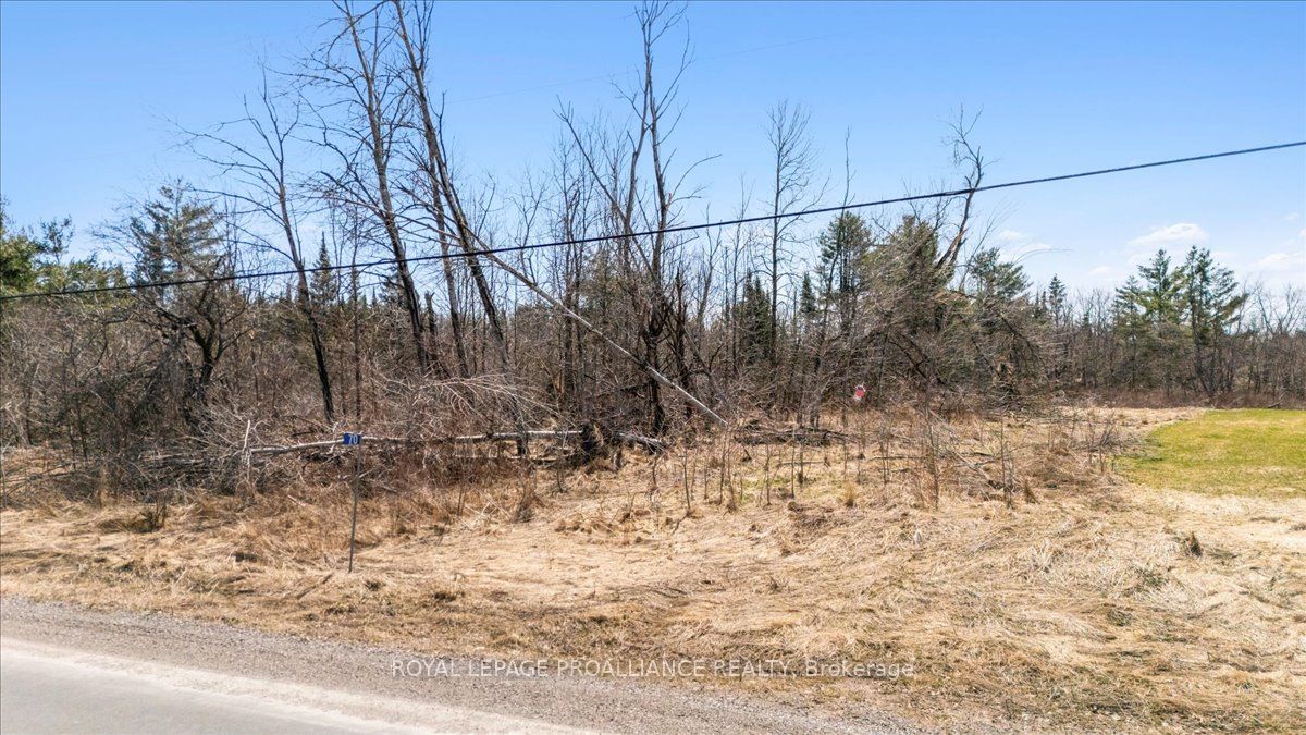 70 Bannockburn Rd Property Photo 18