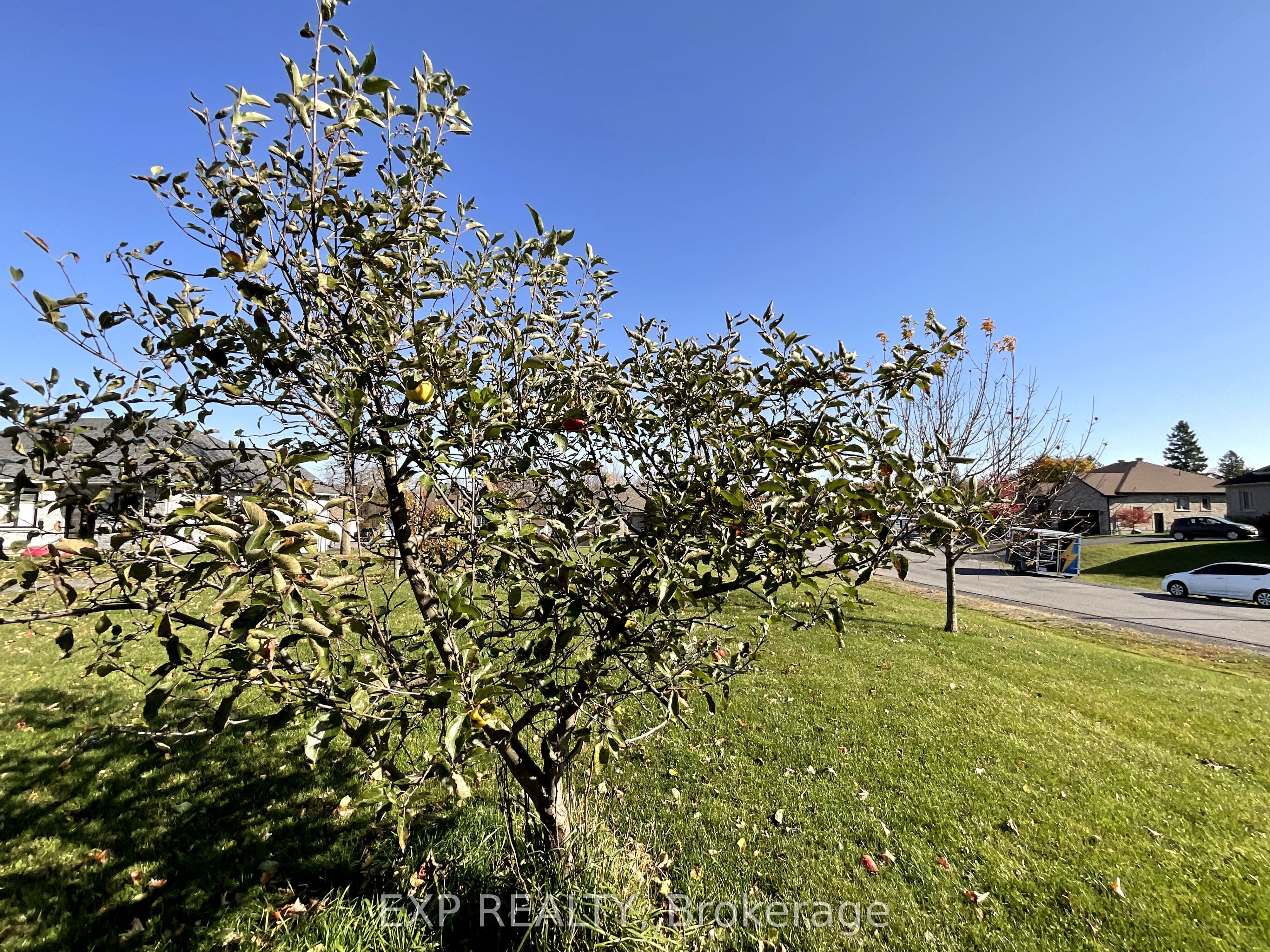26 Penny Lane Property Photo 14