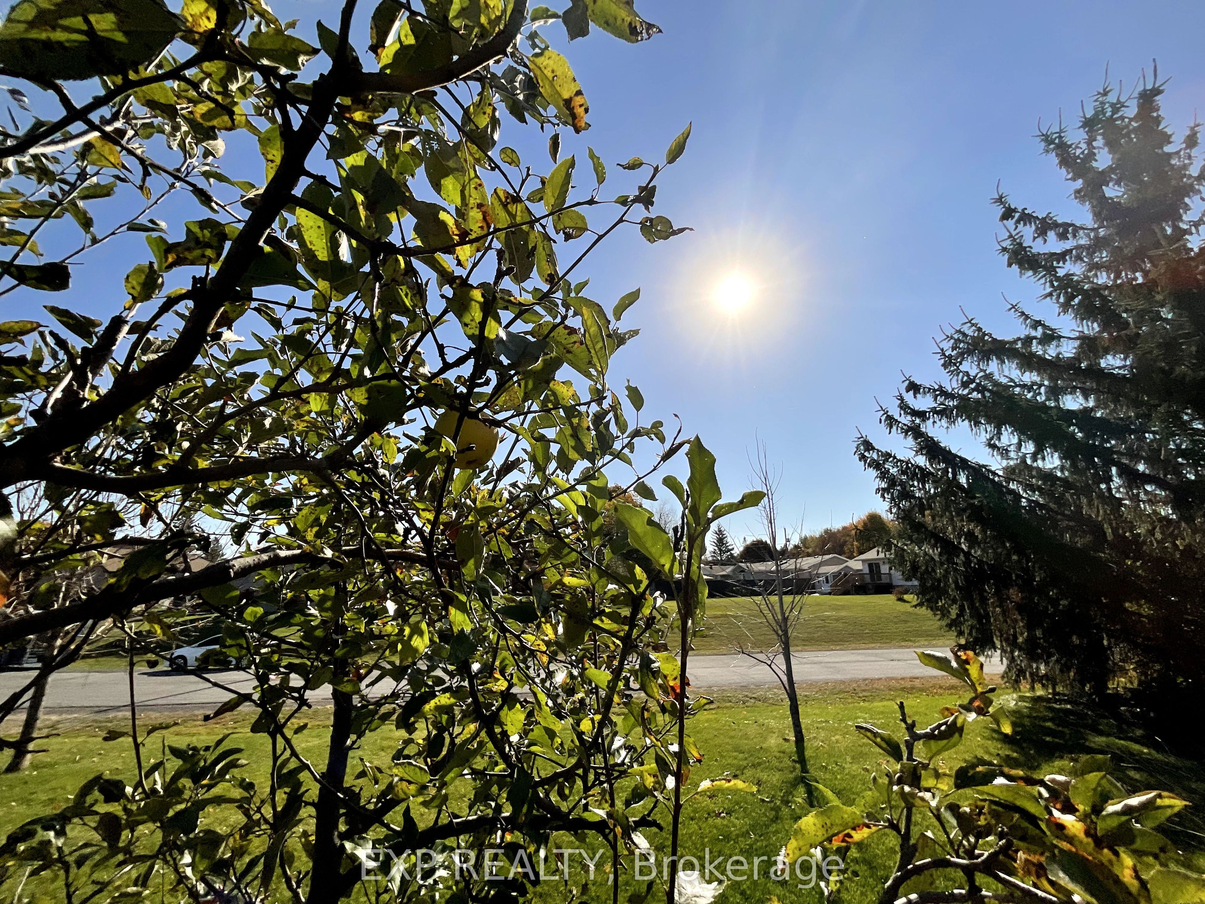 26 Penny Lane Property Photo 15