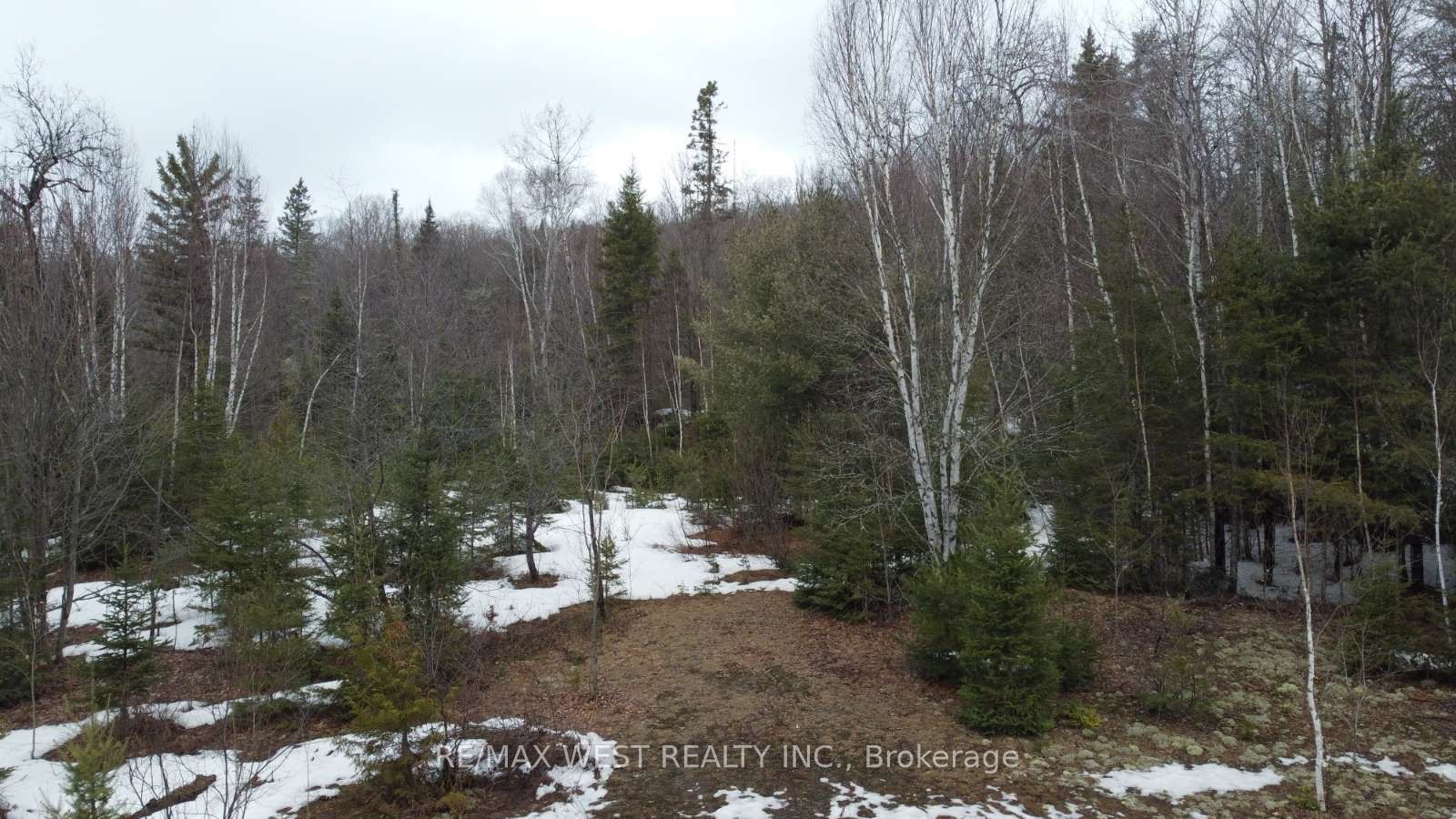 1140 Widdifield Station Road Property Photo 4