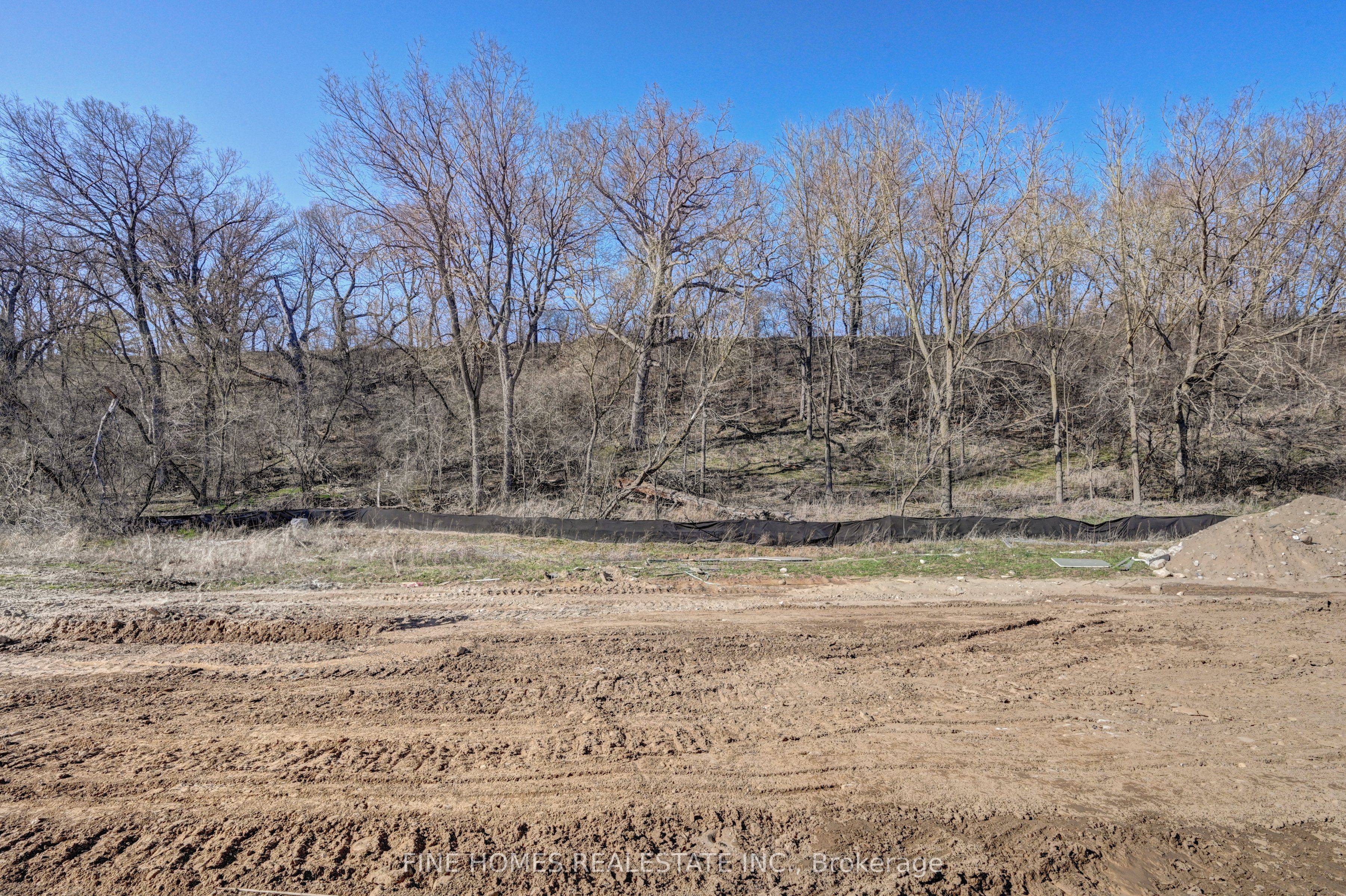 25 Mckernan Avenue Property Photo 48