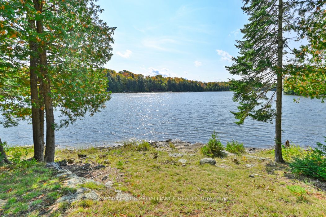 0 Swaugers Lake Road Property Photo
