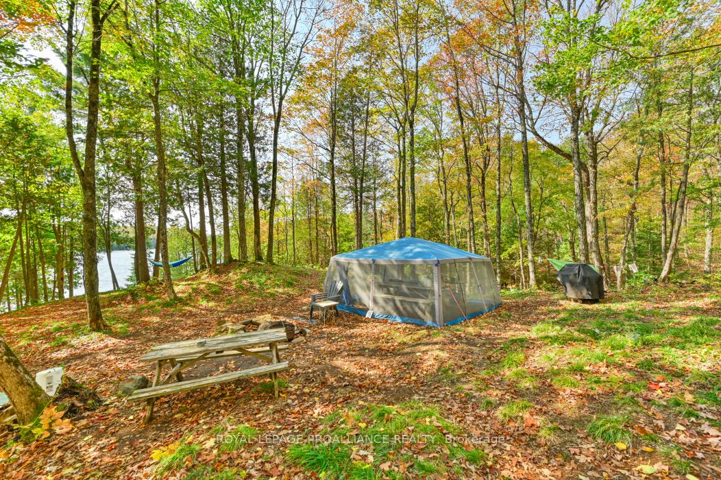 0 Swaugers Lake Road Property Photo 6