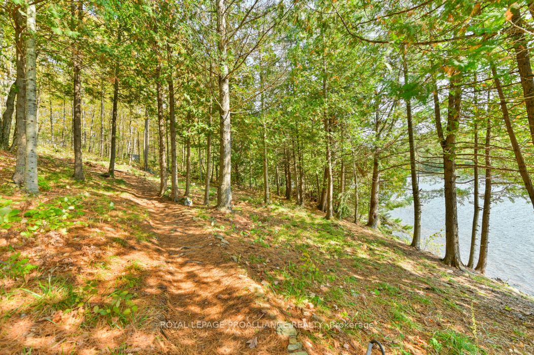0 Swaugers Lake Road Property Photo 8
