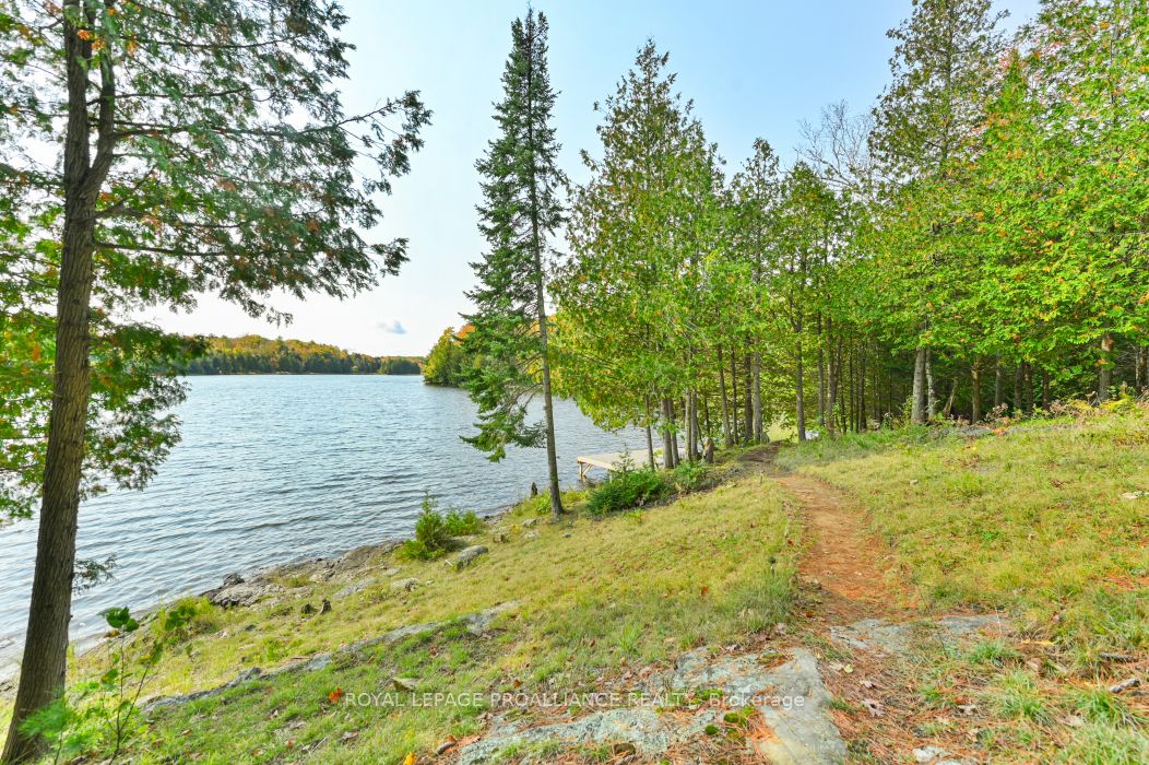0 Swaugers Lake Road Property Photo 10