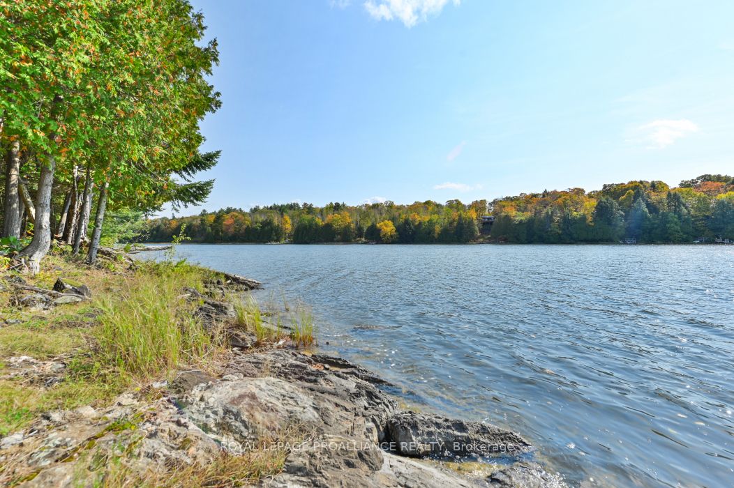 0 Swaugers Lake Road Property Photo 12