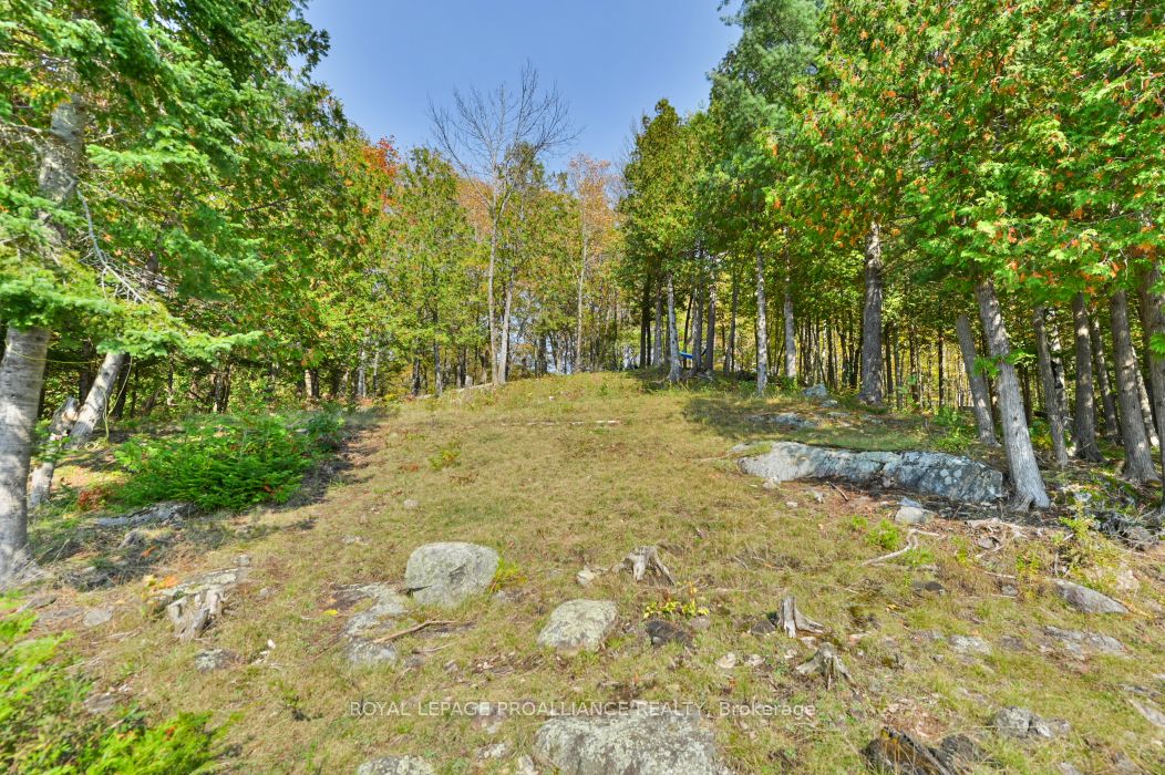0 Swaugers Lake Road Property Photo 13