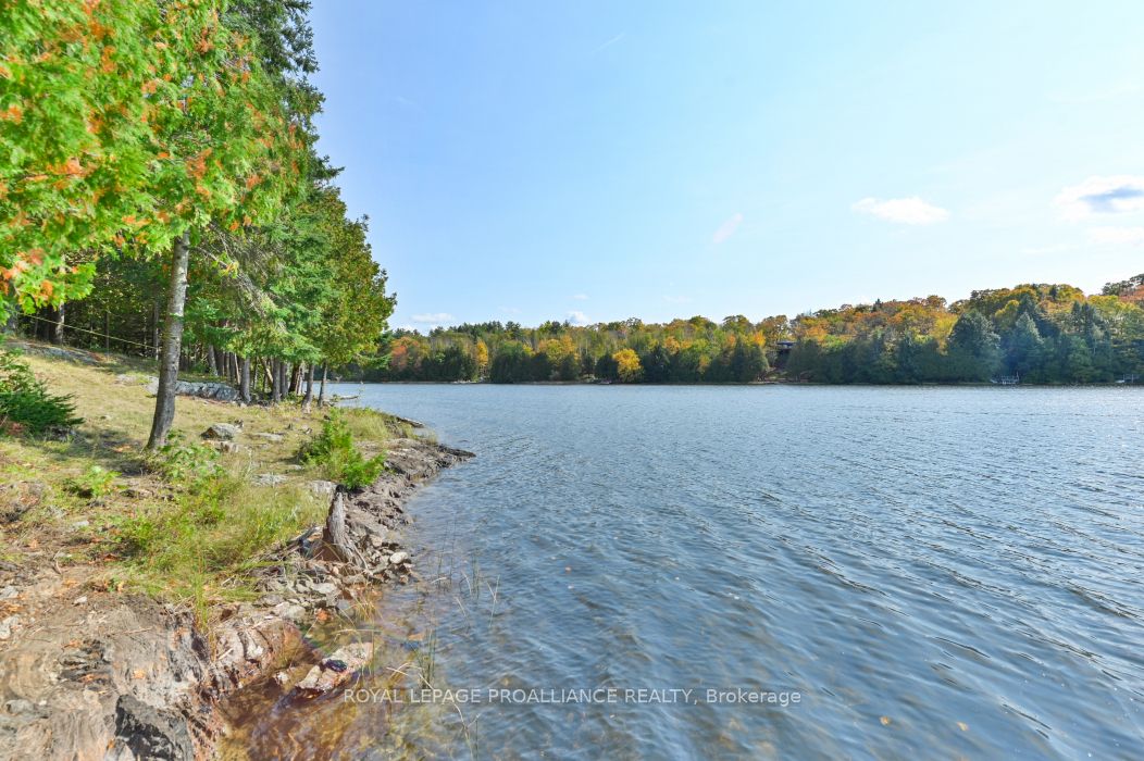 0 Swaugers Lake Road Property Photo 16