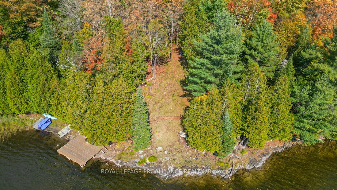 0 Swaugers Lake Road Property Photo 25