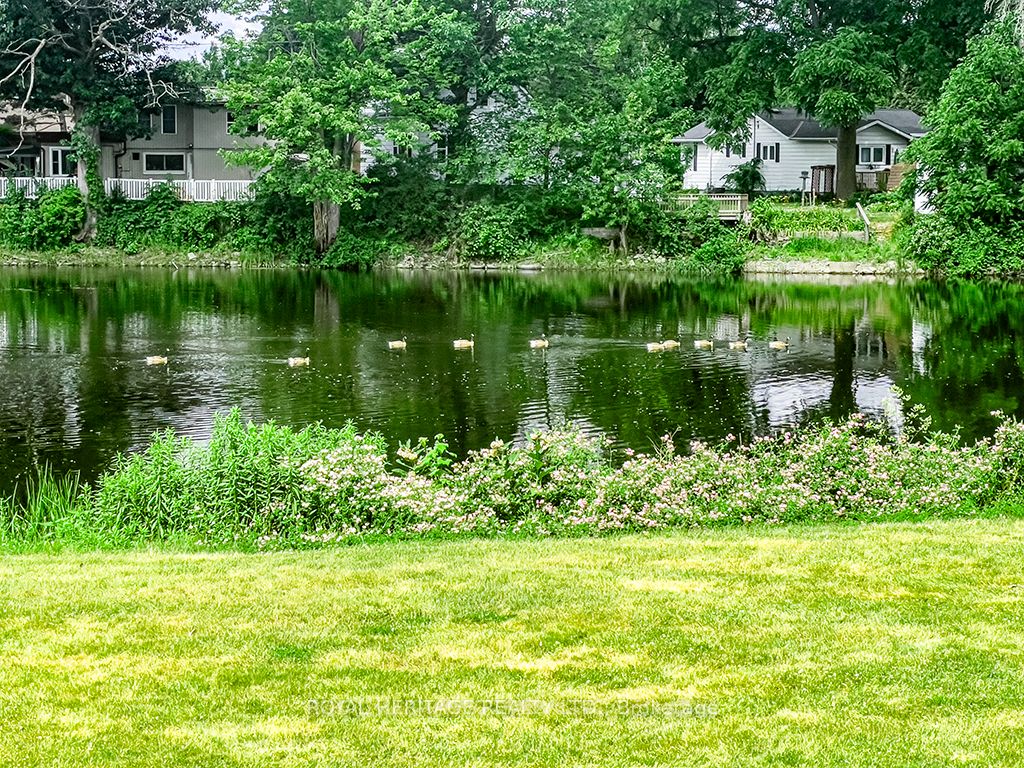 80 Greenfield Park Property Photo 42