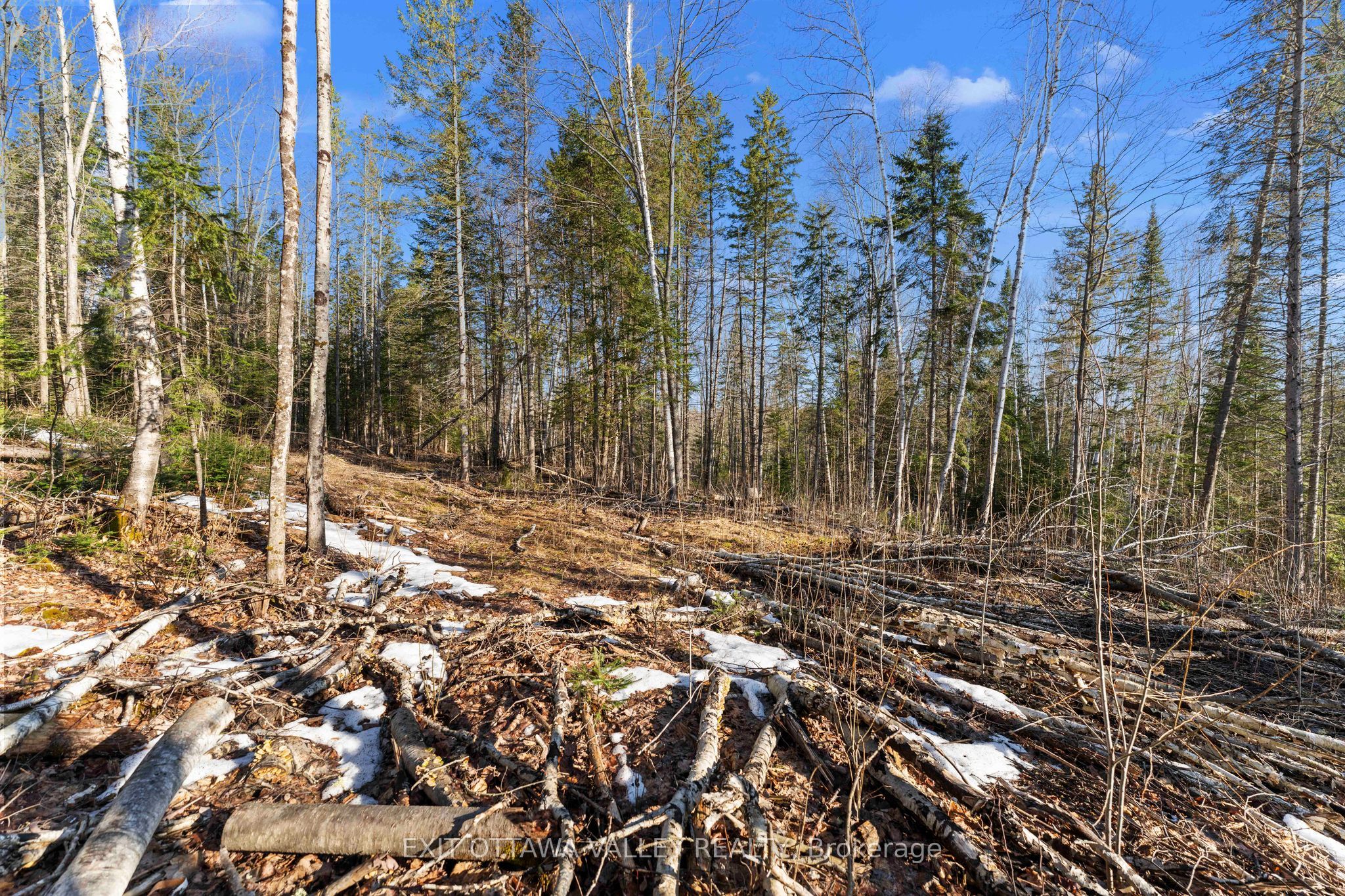 001 Siberia Road Property Photo 1