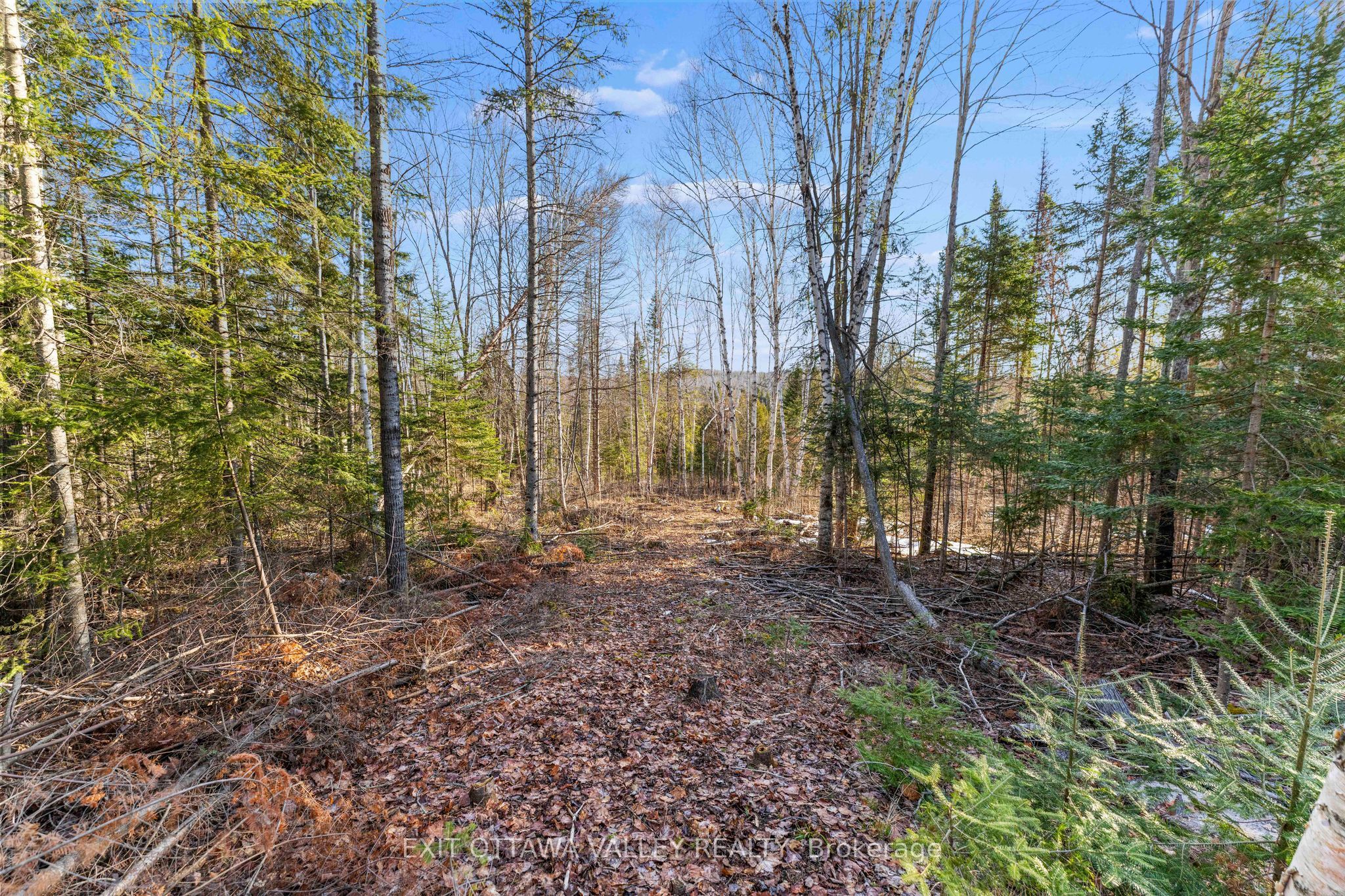 001 Siberia Road Property Photo 3