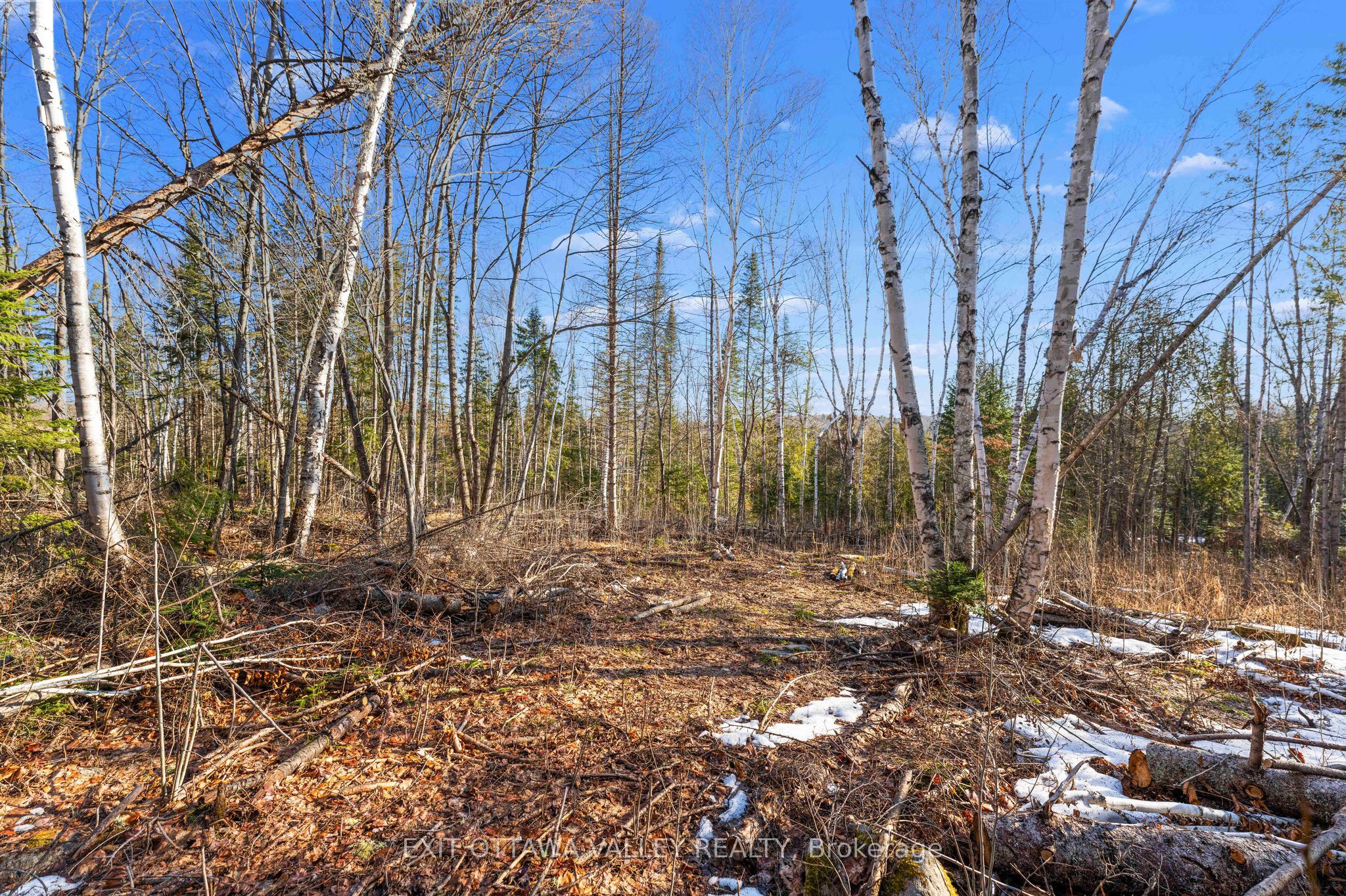 001 Siberia Road Property Photo 6