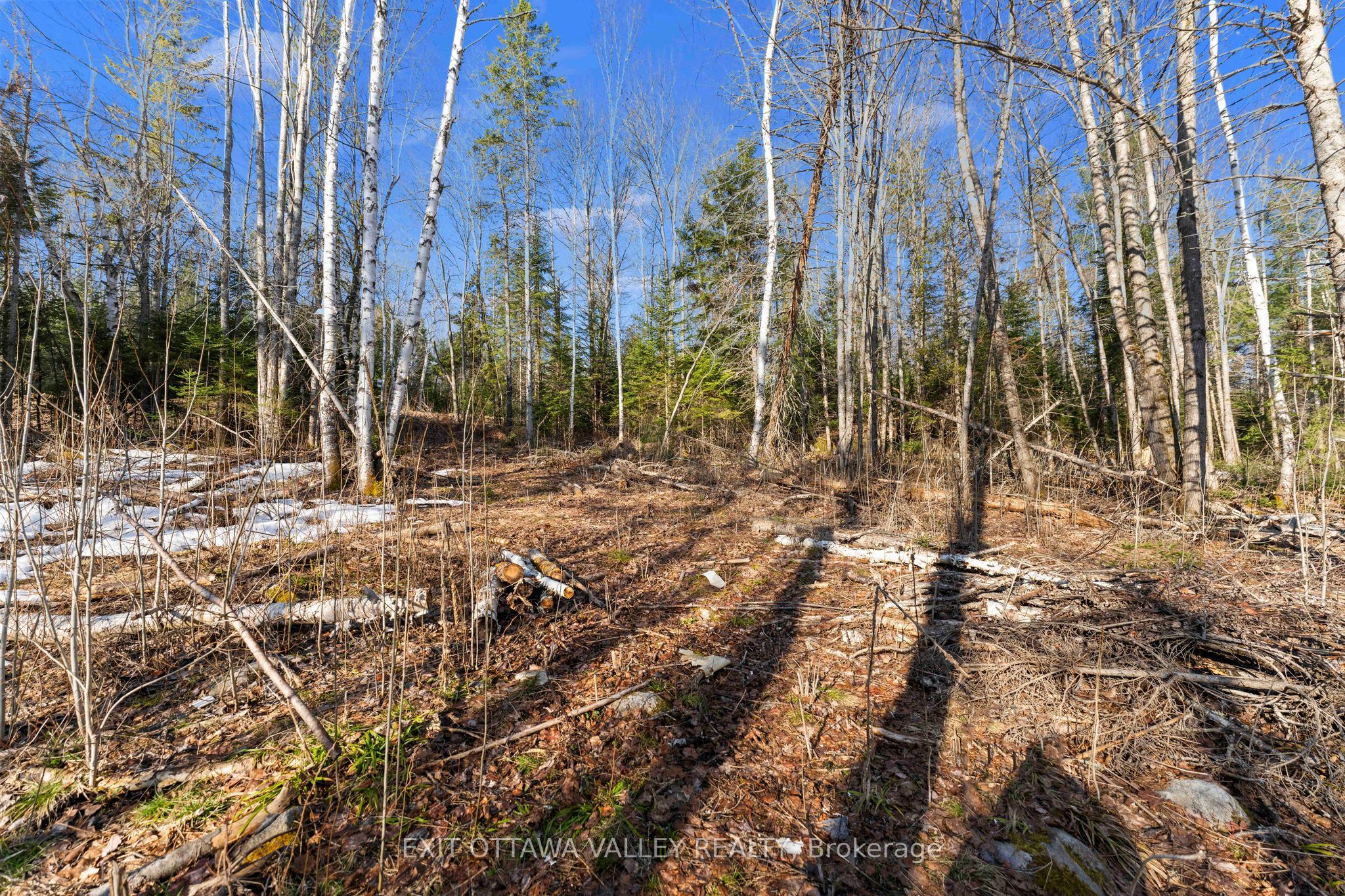 001 Siberia Road Property Photo 7