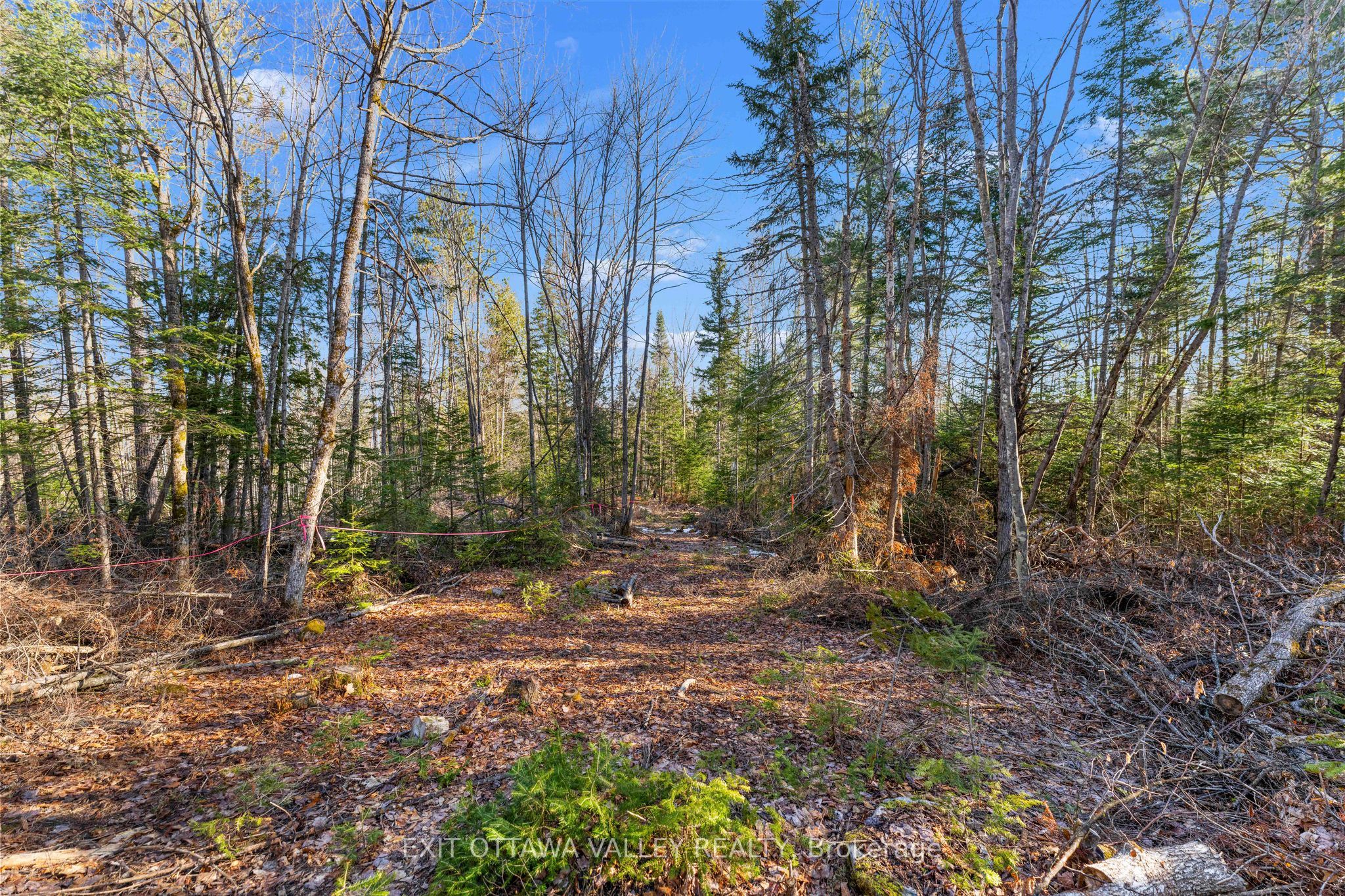 001 Siberia Road Property Photo 8