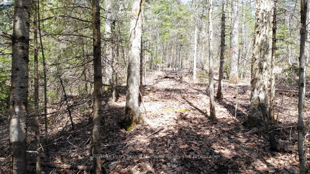 1025 520 N Highway Property Photo 11