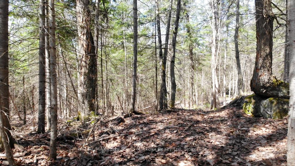 1025 520 N Highway Property Photo 12