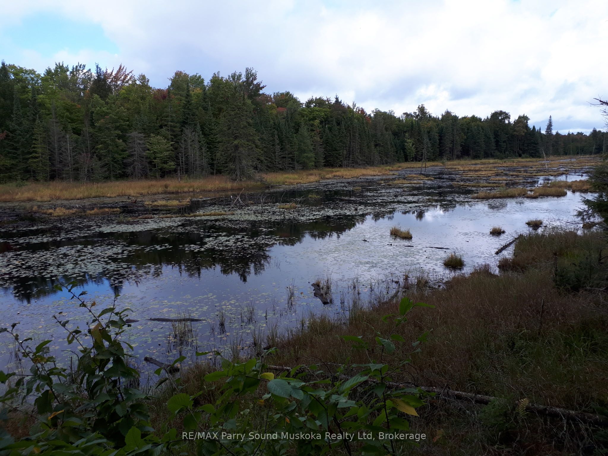 1025 520 N Highway Property Photo 18