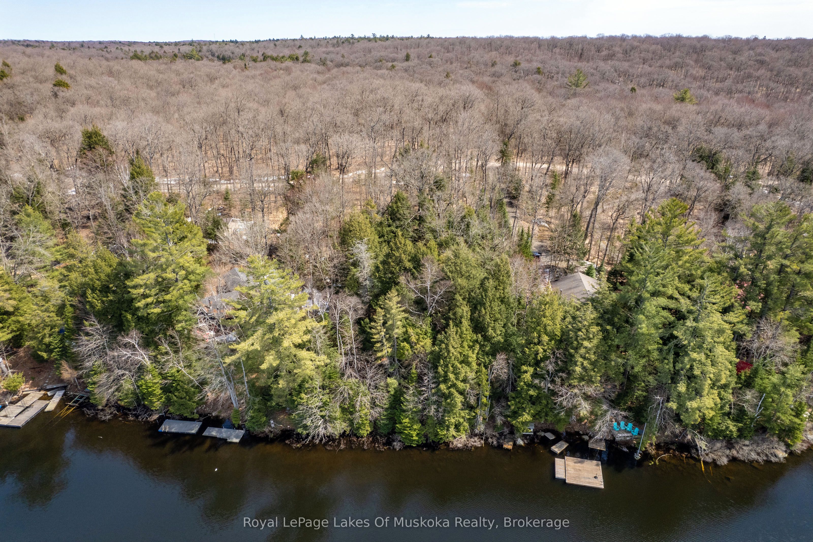 0 Bird Lake Road Property Photo 16