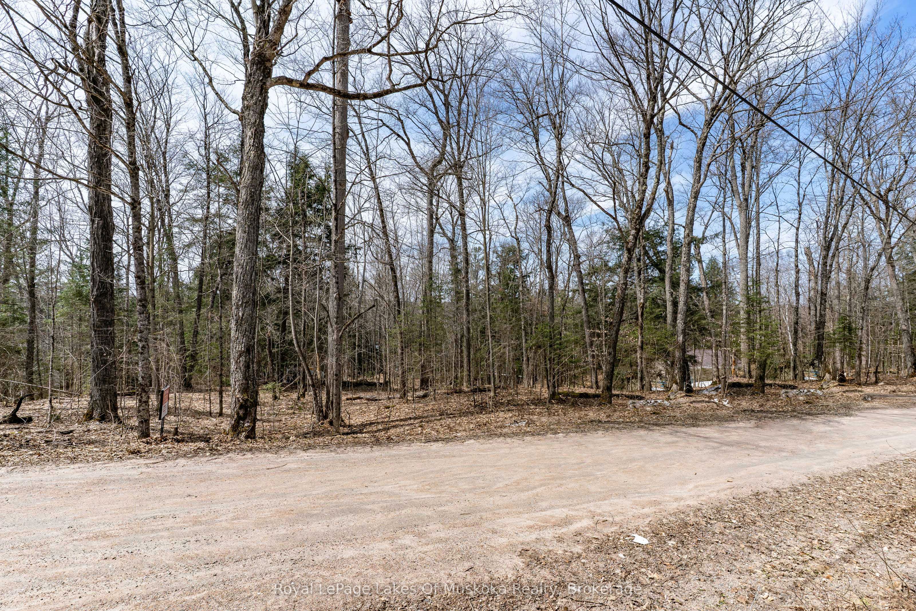 0 Bird Lake Road Property Photo 26