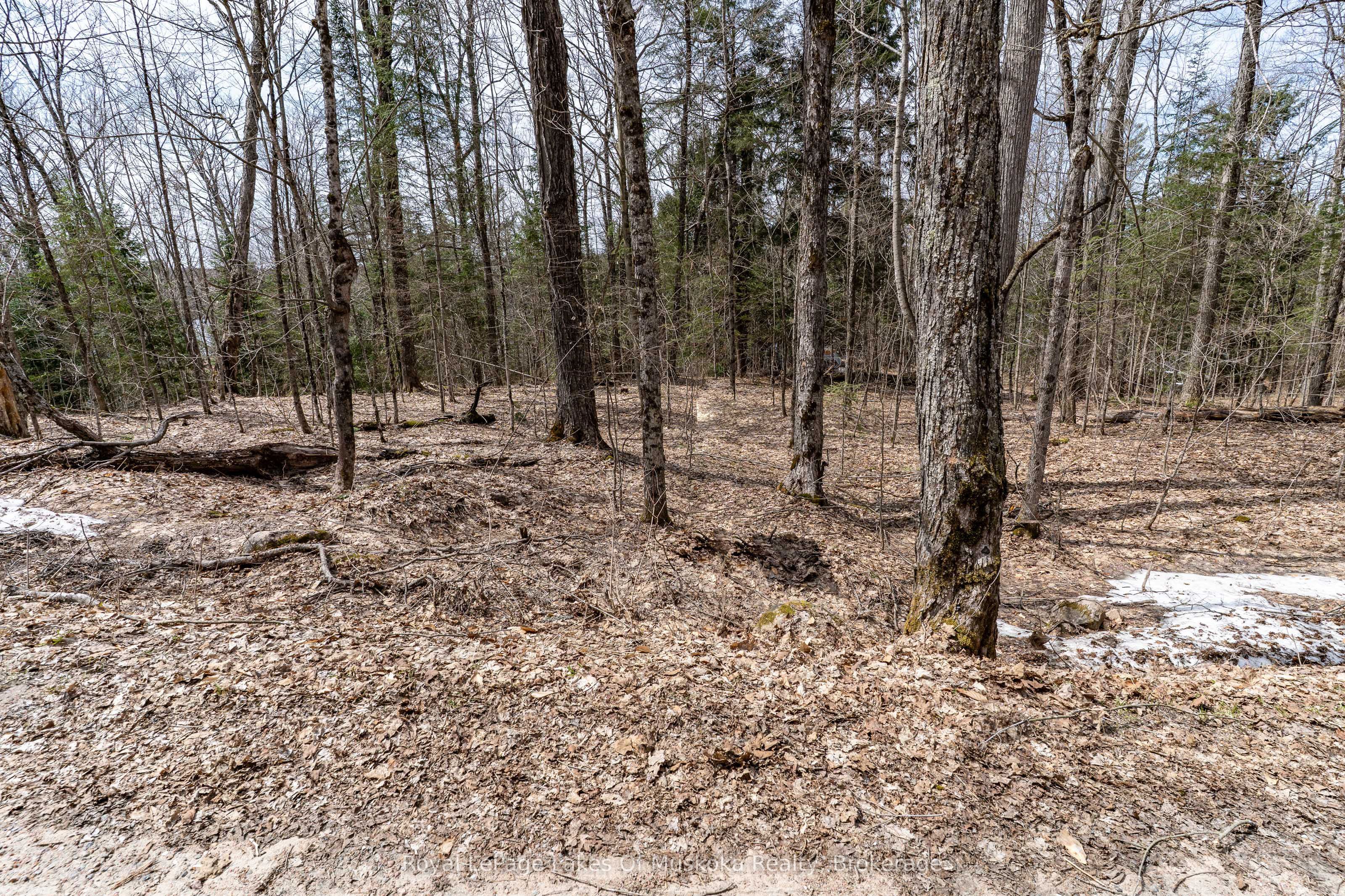 0 Bird Lake Road Property Photo 27